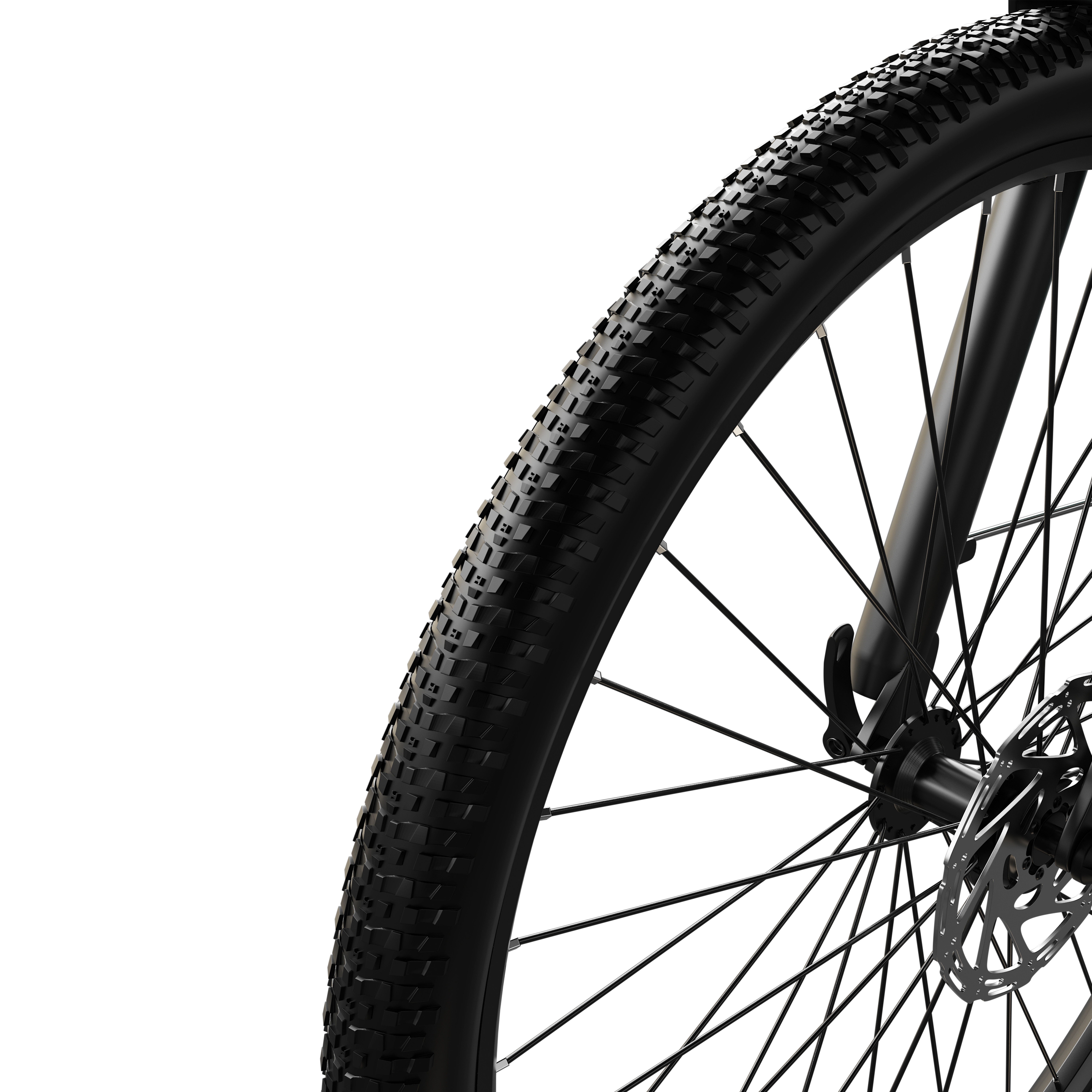 Nahaufnahme eines schwarzen Mountainbike-Vorderrads mit Profilreifen, Speichen und Bremsscheibe vor weißem Hintergrund.