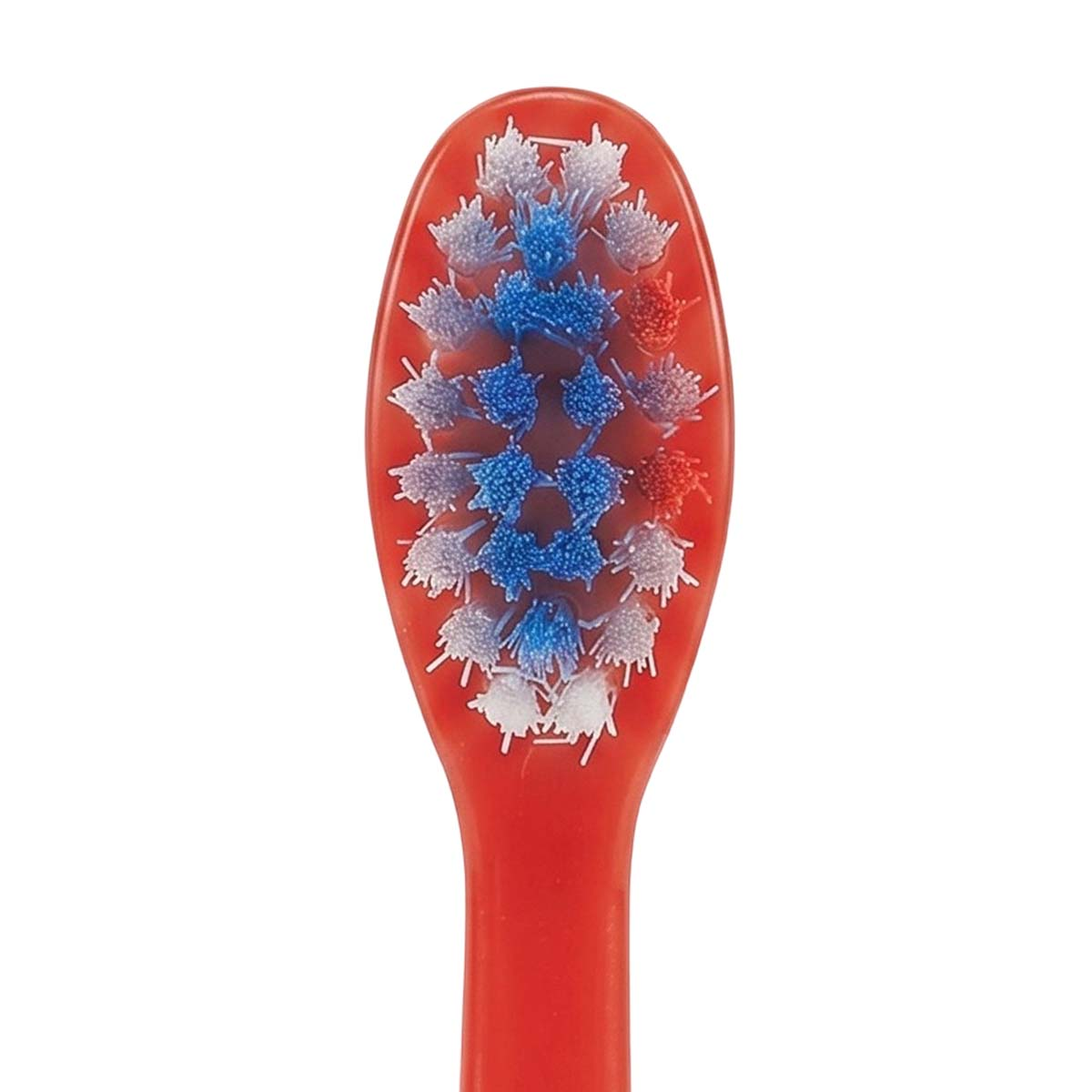 Primo piano della testa di uno spazzolino rosso con setole blu e bianche.
