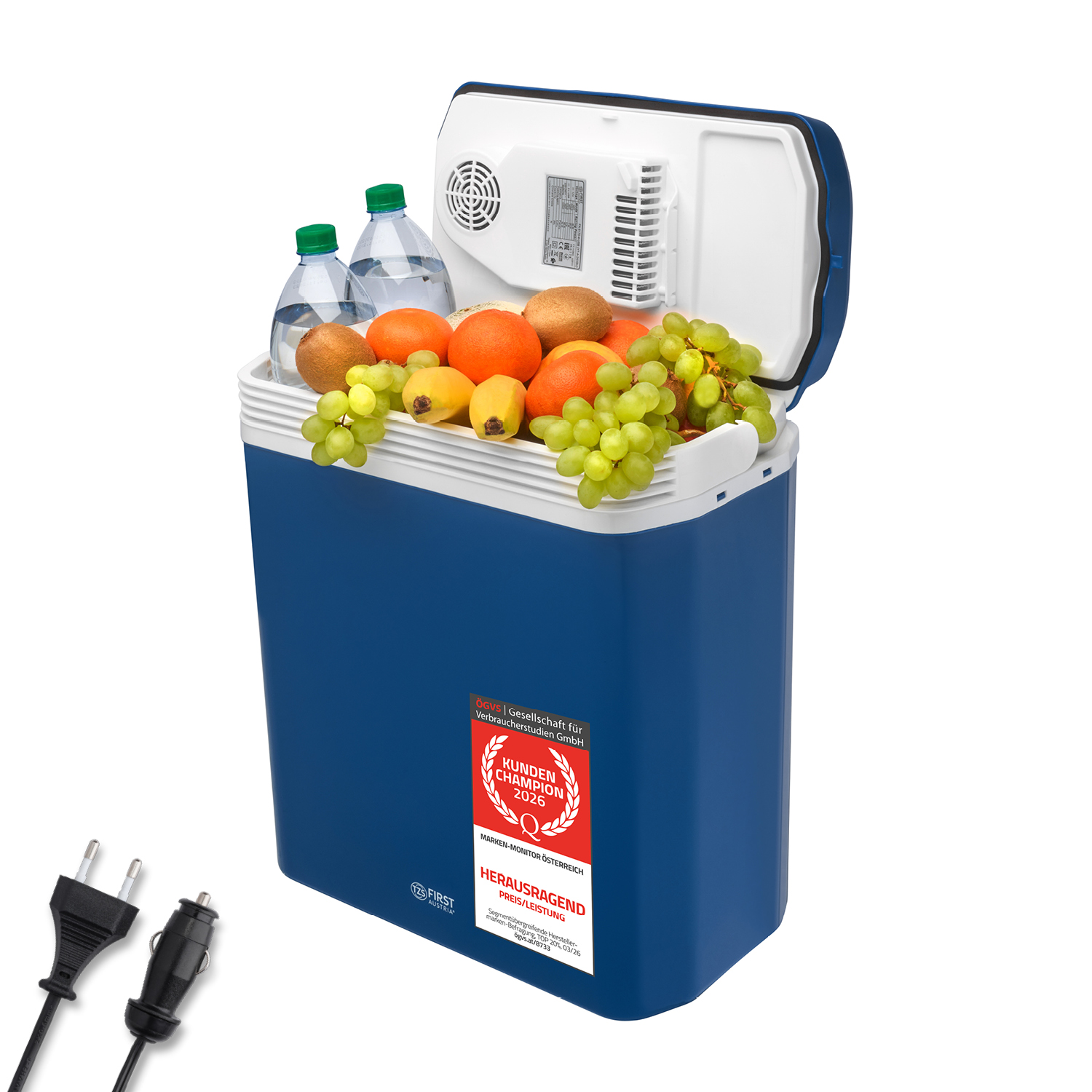 Eine blaue tragbare Kühlbox, gefüllt mit frischem Obst und Wasserflaschen, mit zwei sichtbaren Steckern.