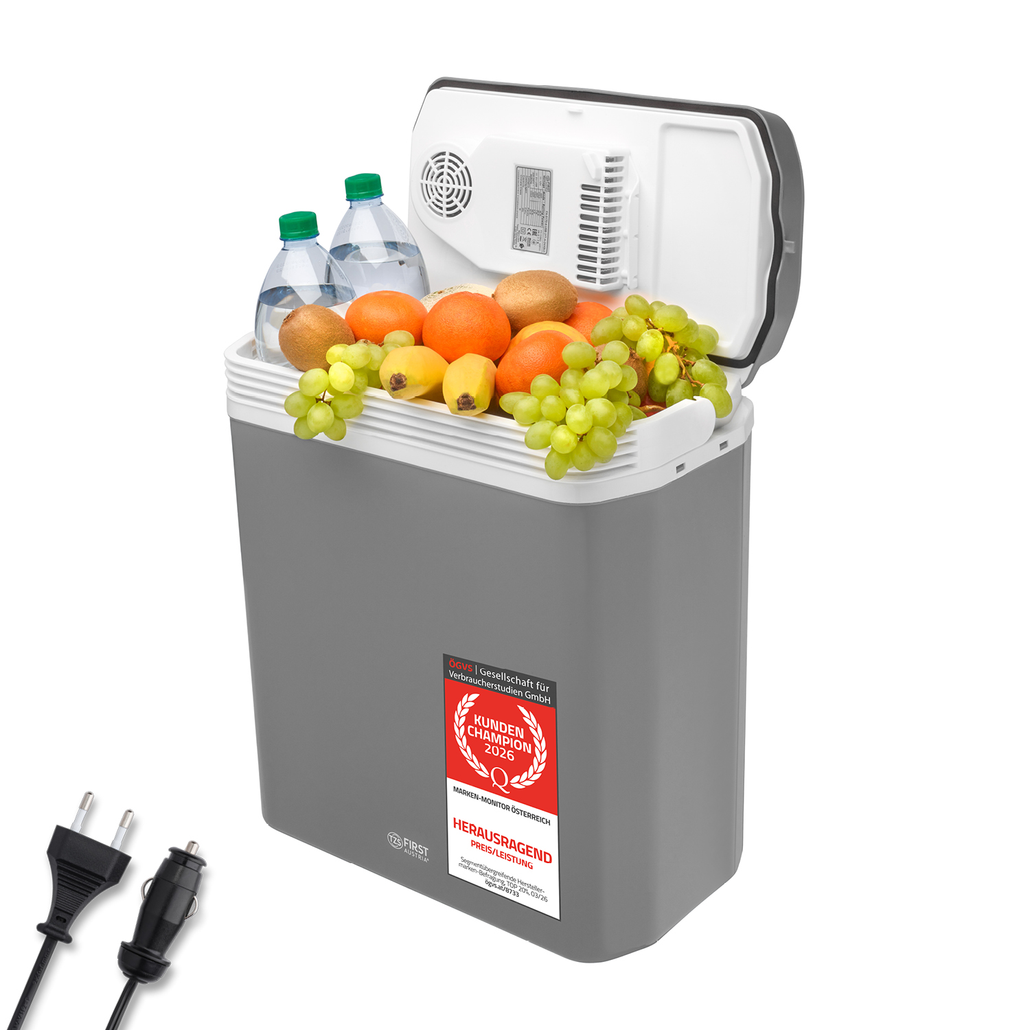 Graue Kühlbox mit offener weißer Klappe, gefüllt mit frischem Obst und zwei Wasserflaschen, mit Stromkabeln.