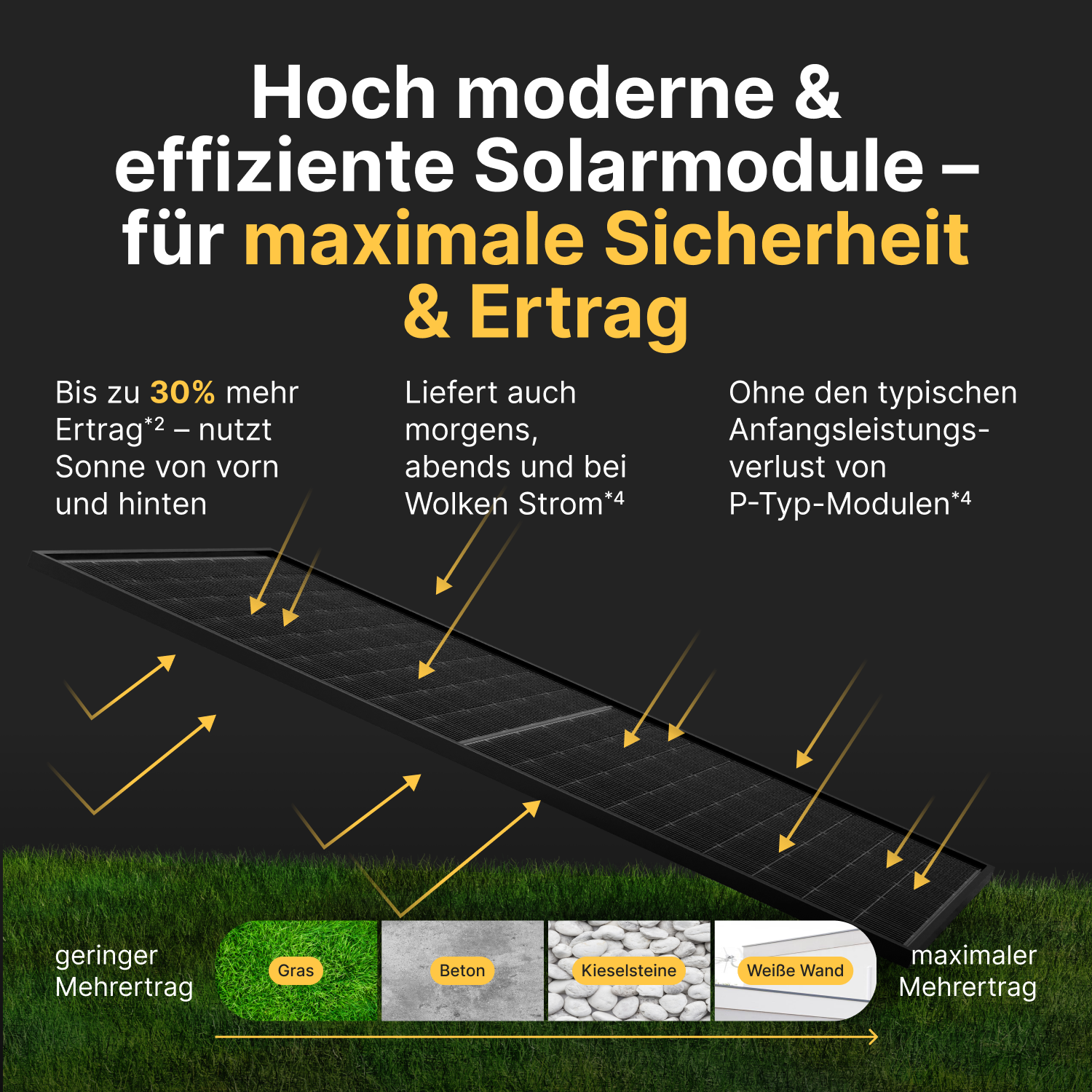 Solar-Infografik über Gras mit deutschem Text zu Effizienz und Ertrag.