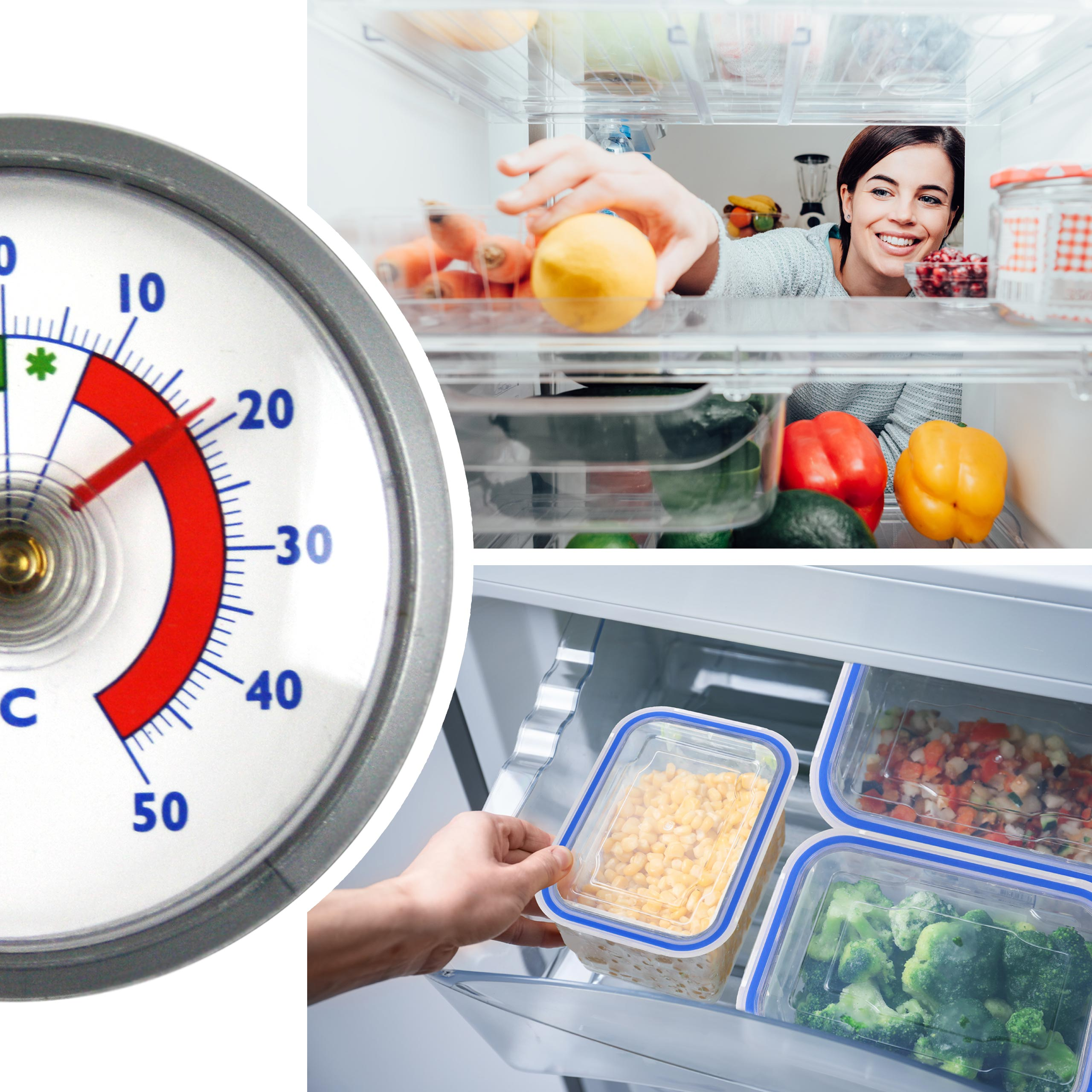 Ein Thermometer zeigt die Temperatur, während eine Frau Gemüse holt und Gefrierdosen in einer Schublade liegen.