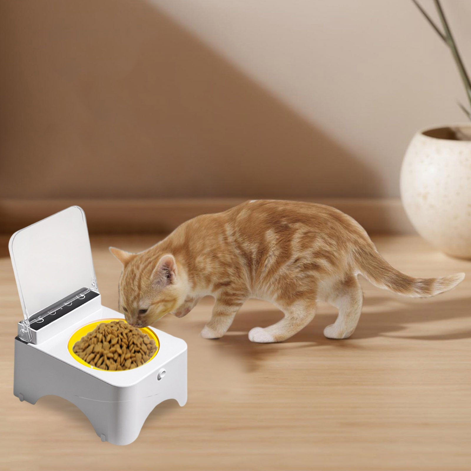 Ein orangefarbenes Katzenbaby frisst Trockenfutter aus einer gelben Schüssel auf einem weißen Futterautomaten.