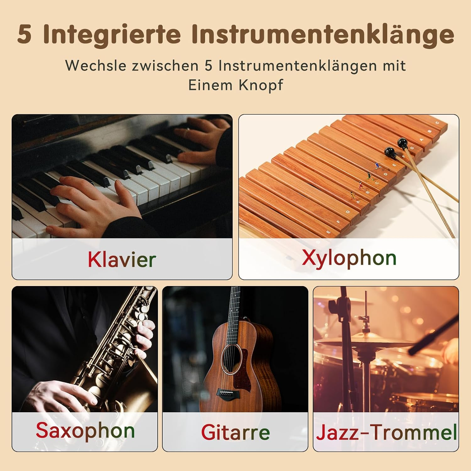 Grafik mit fünf Instrumenten: Klavier, Xylophon, Saxophon, Gitarre und Jazz-Trommel.