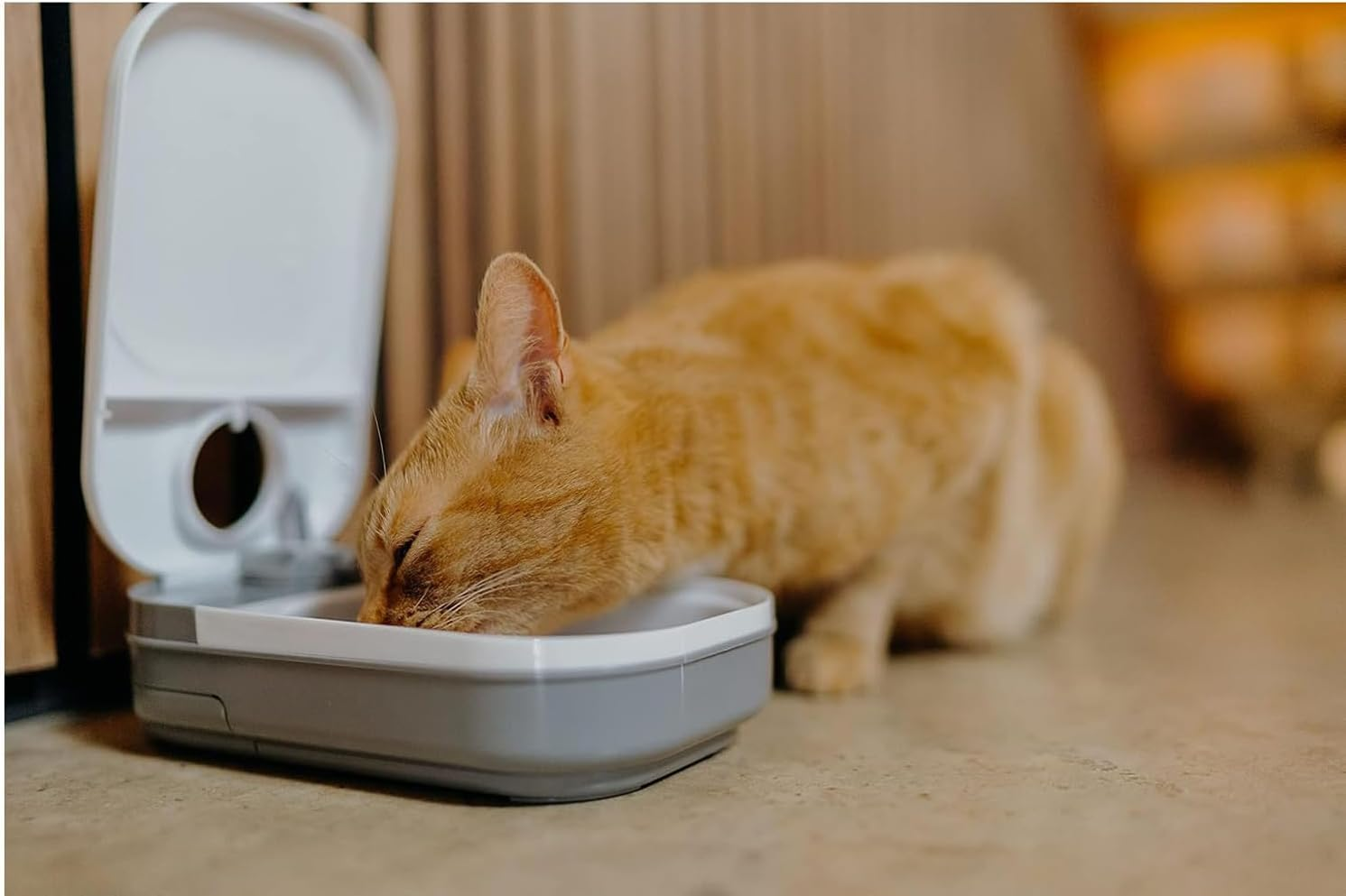 Eine orangefarbene gestreifte Katze frisst von einem weiß-grauen Futterautomat auf dem Boden.