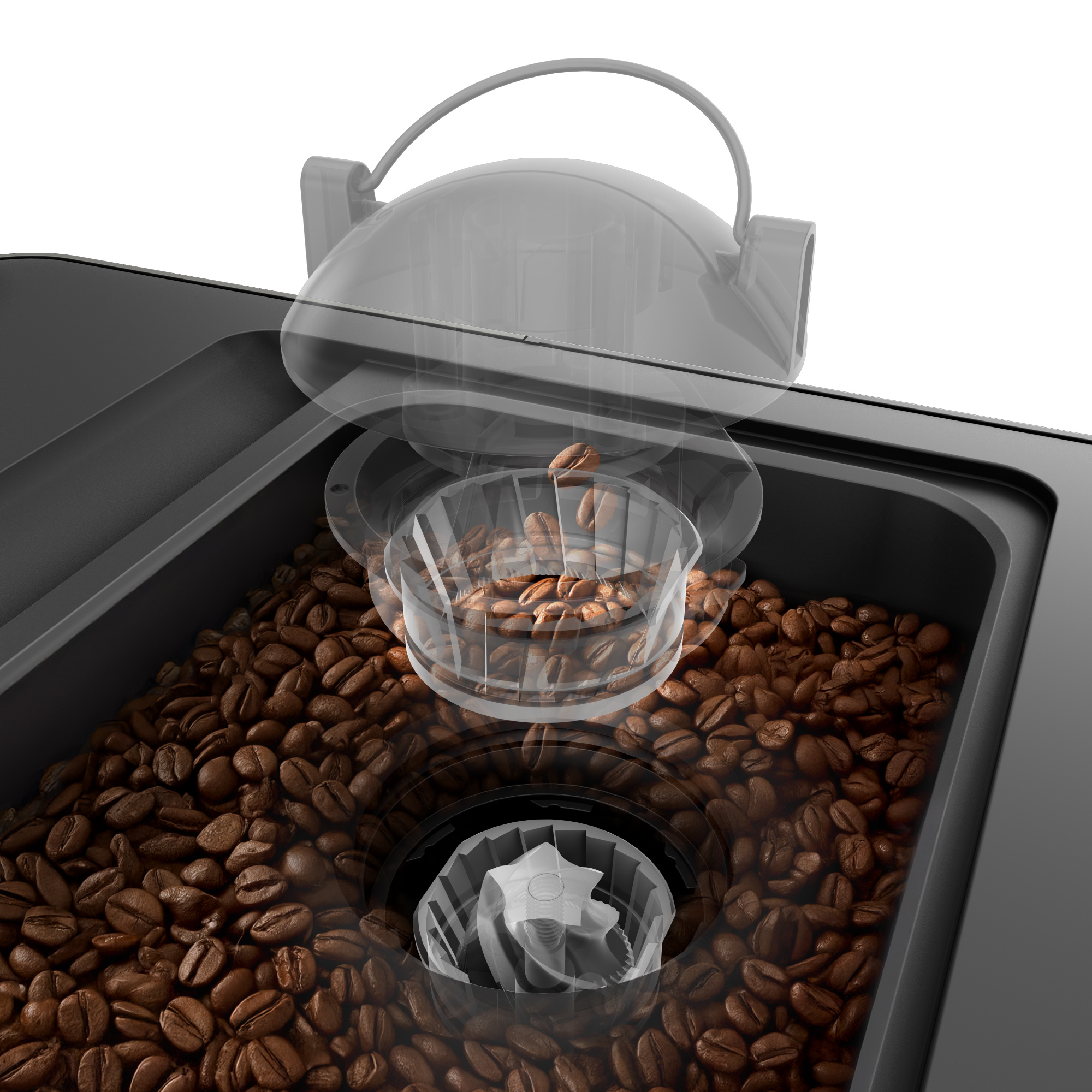 Kaffeebohnen im Mahlwerk einer Maschine, eine transparente Abdeckung zeigt das Innenleben.