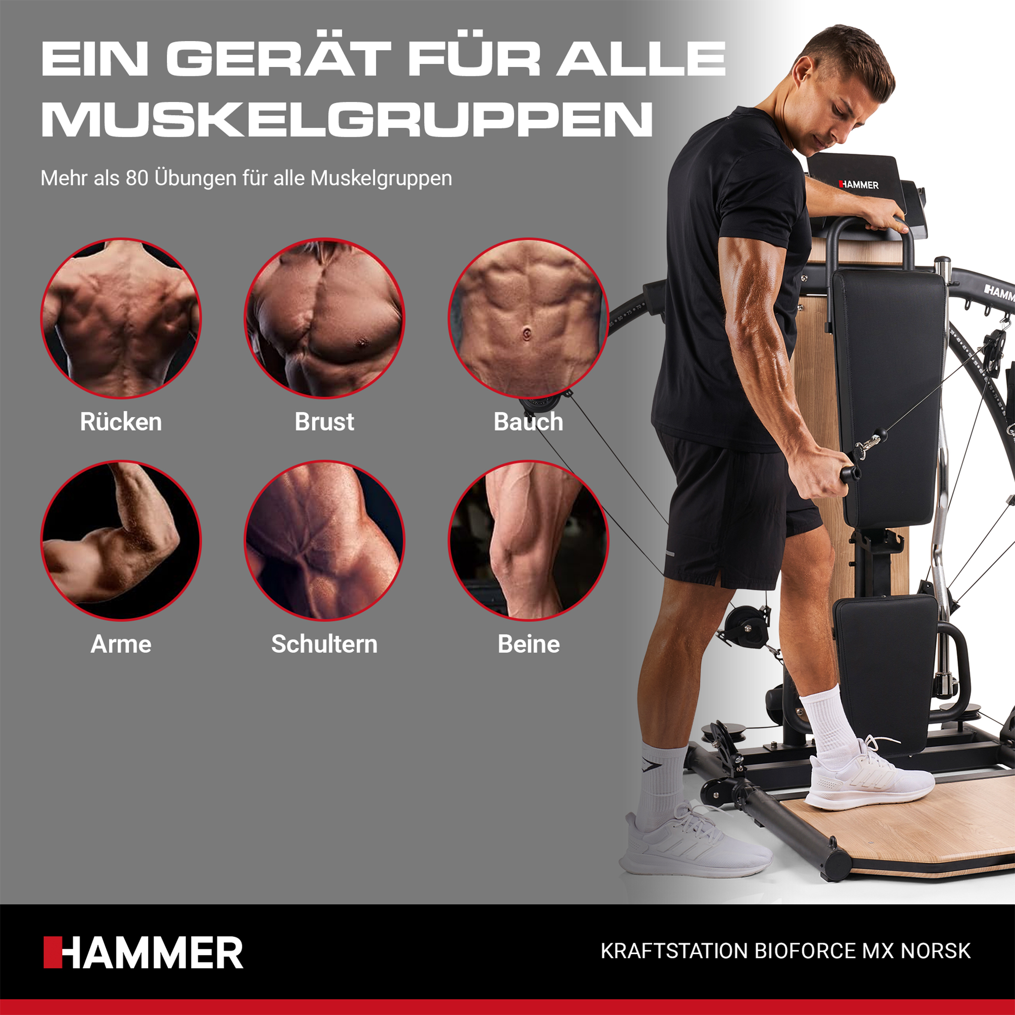 Ein Mann trainiert an einer Hammer Kraftstation, begleitet von Muskelgruppen-Vorschauen und Text.