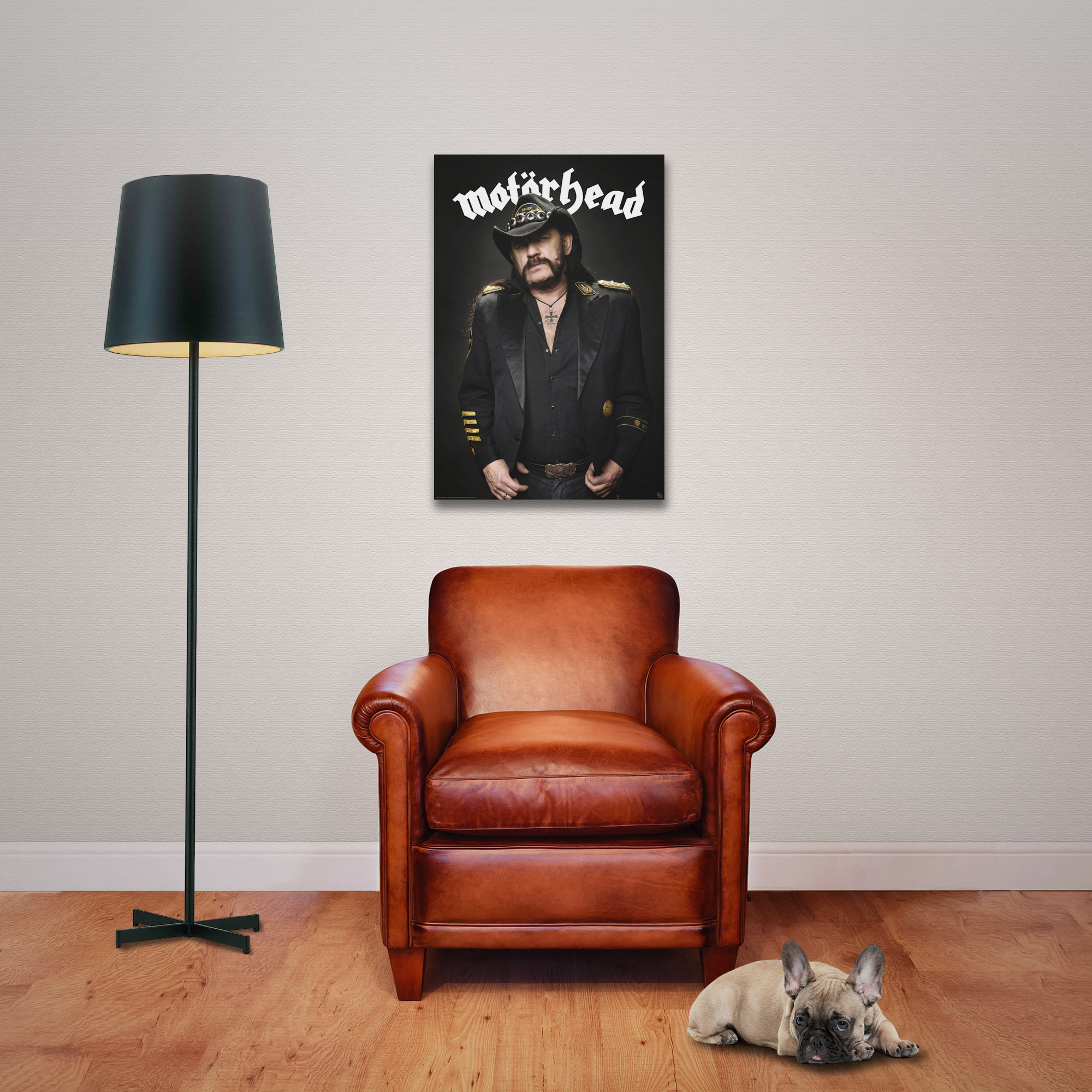 Ein brauner Ledersessel mit einer Stehlampe links und einem kleinen Hund unten rechts vor einer grauen Wand.