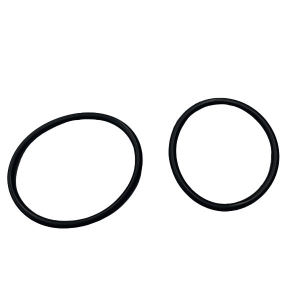 Due o-ring neri su sfondo bianco.