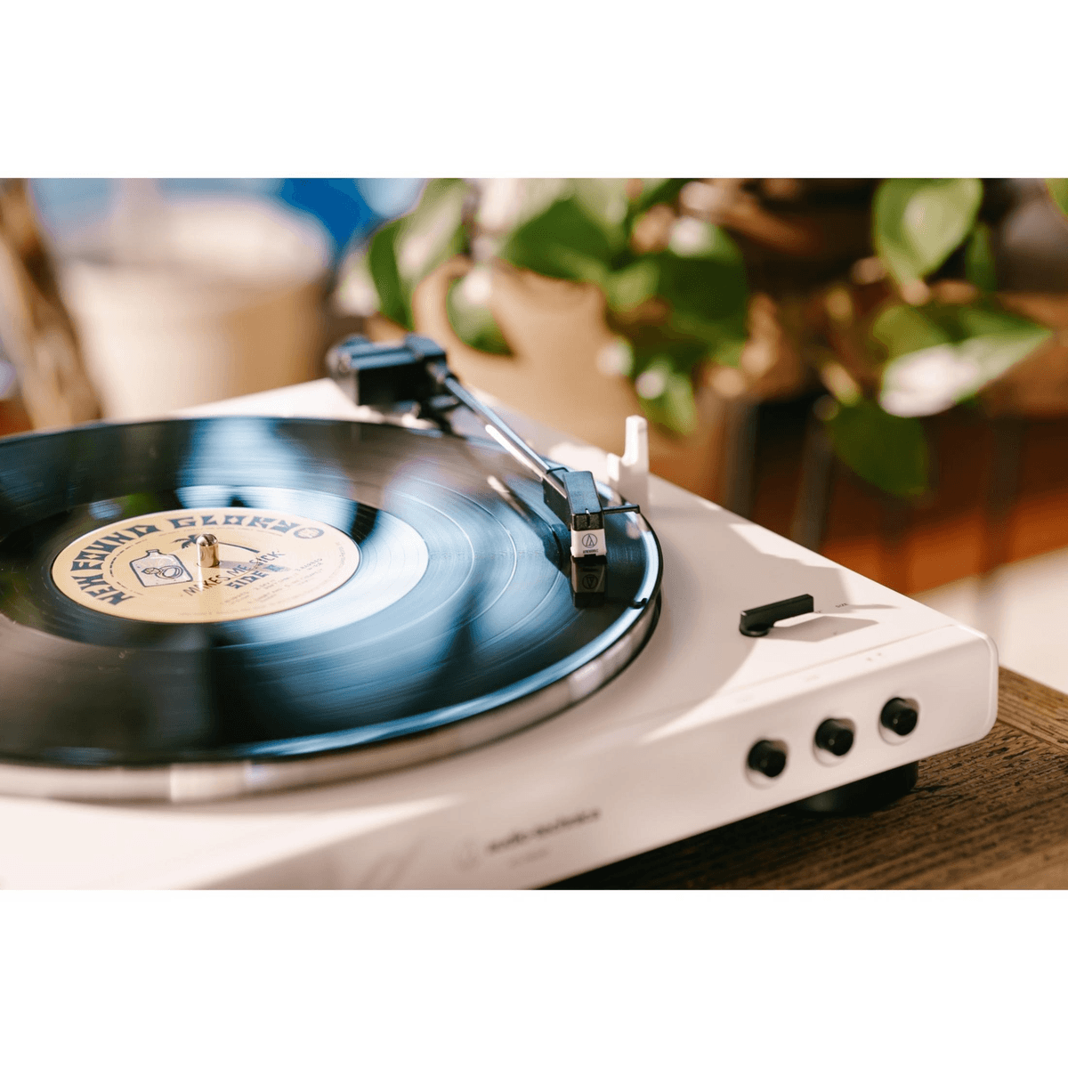 Un tocadiscos blanco con un disco negro suena sobre una mesa de madera, con plantas verdes de fondo.