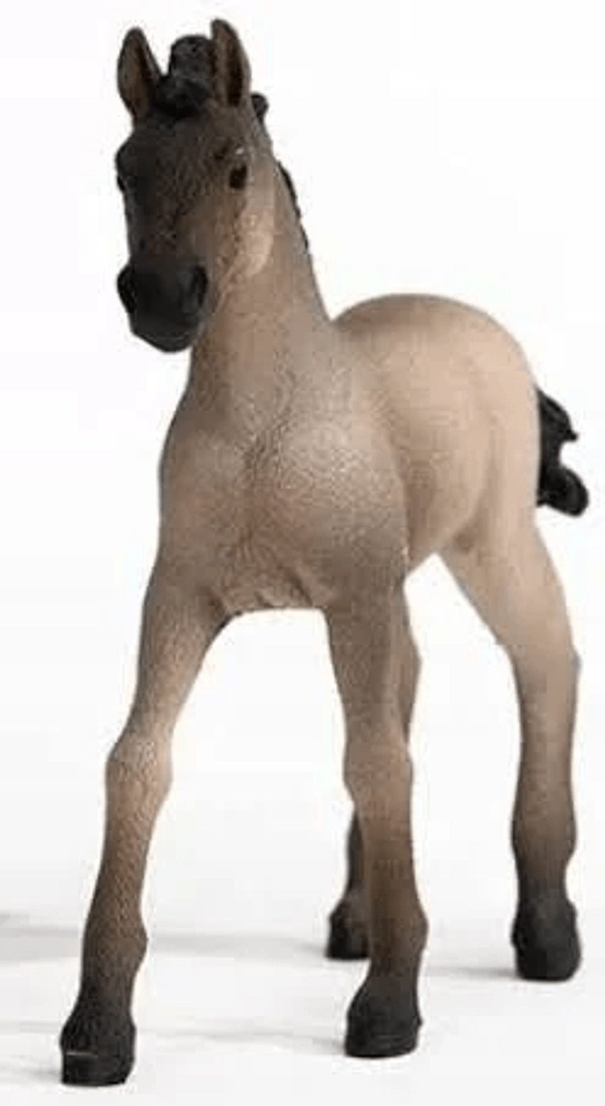 Un giocattolo a forma di puledro marrone con muso, criniera, coda e zampe scure su sfondo bianco.