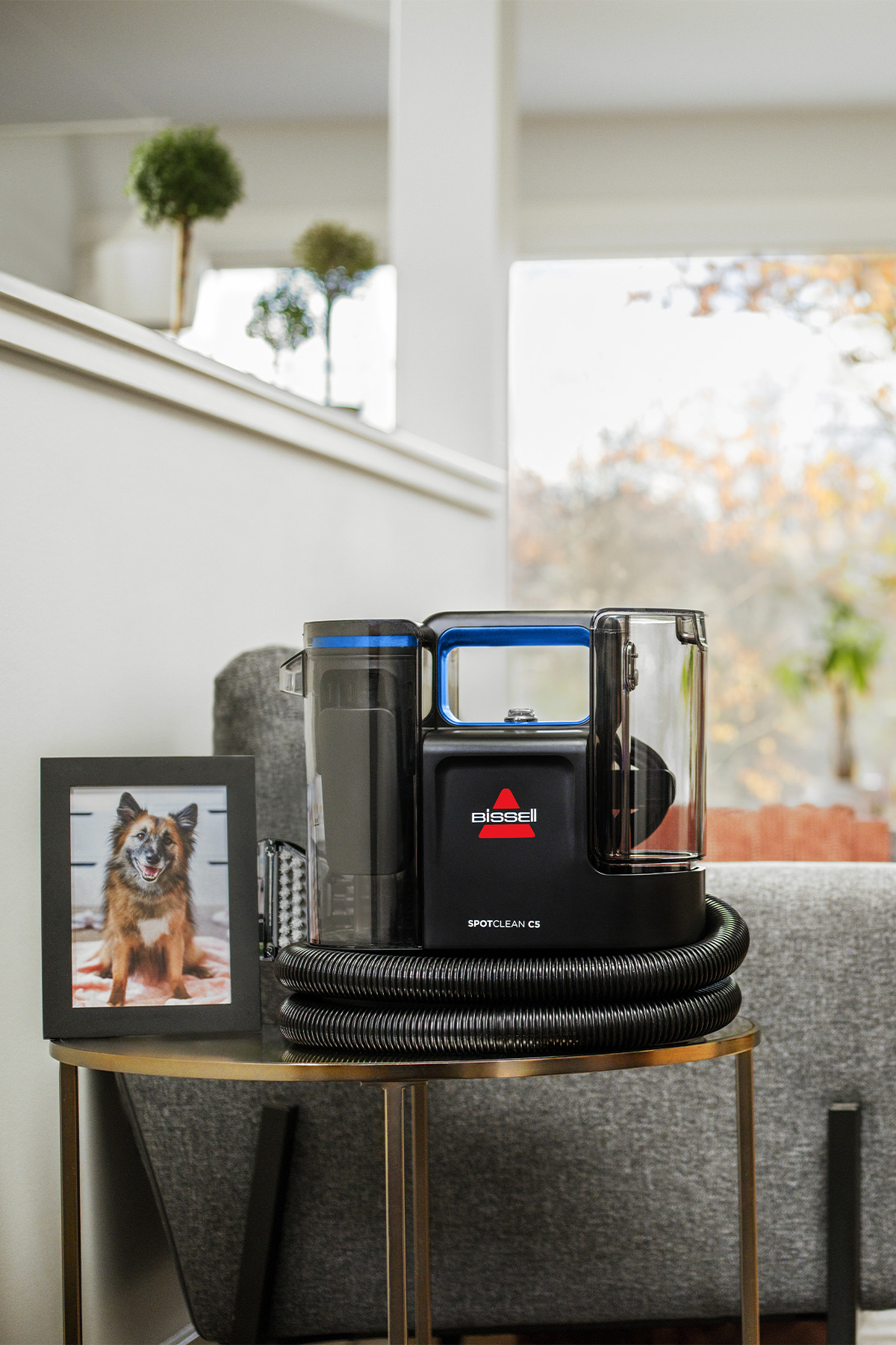 Un aspirapolvere nero Bissell SpotClean C5 su un tavolo dorato accanto alla foto di un cane incorniciata in un soggiorno luminoso.