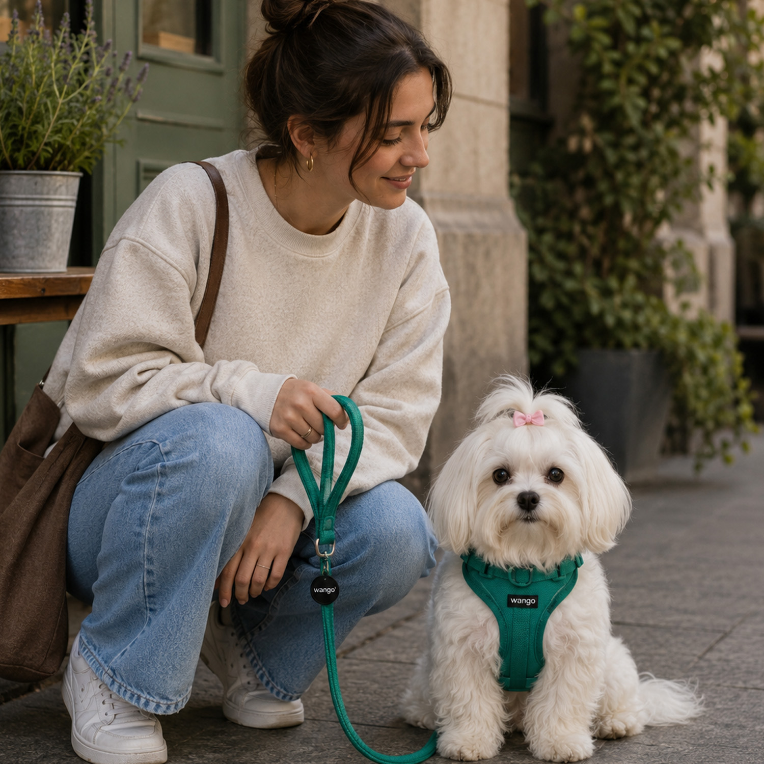 Una mujer con jeans y suéter blanco se agacha junto a su perro blanco con arnés verde en la calle.