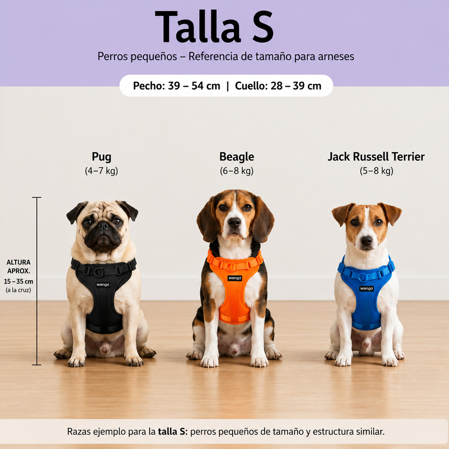 Guía de talla S con tres perros (Pug, Beagle, Jack Russell) usando arneses de colores y medidas.