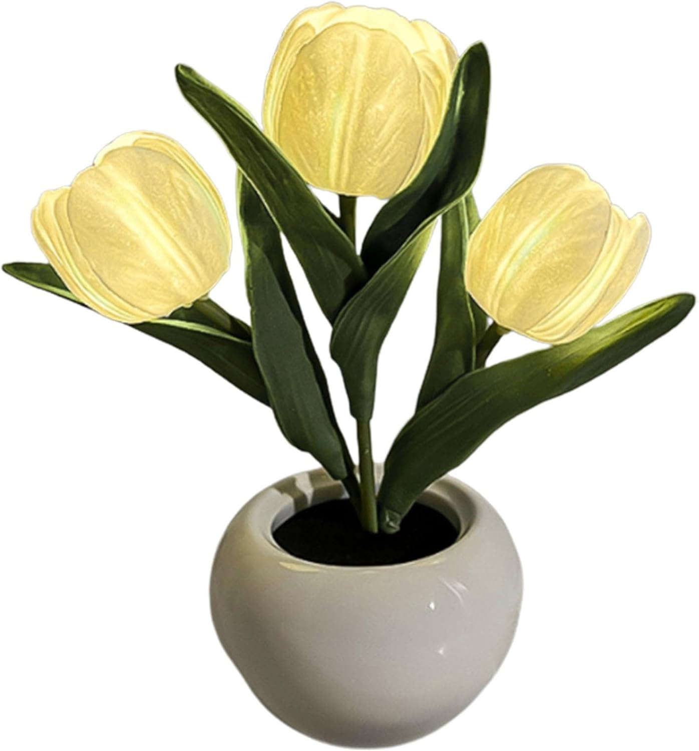 Drei beleuchtete gelbe Tulpen mit grünen Blättern in einem runden weißen Topf auf weißem Hintergrund.