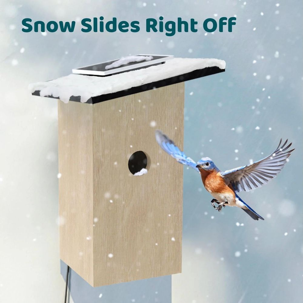 Ein blauer Vogel fliegt an einem schneebedeckten Vogelhaus vorbei, mit Text oben.