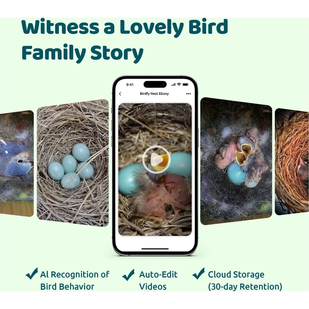 Ein Smartphone zeigt eine App mit Vogelnest-Videos und Texten über KI-Erkennung und Cloud-Speicher.