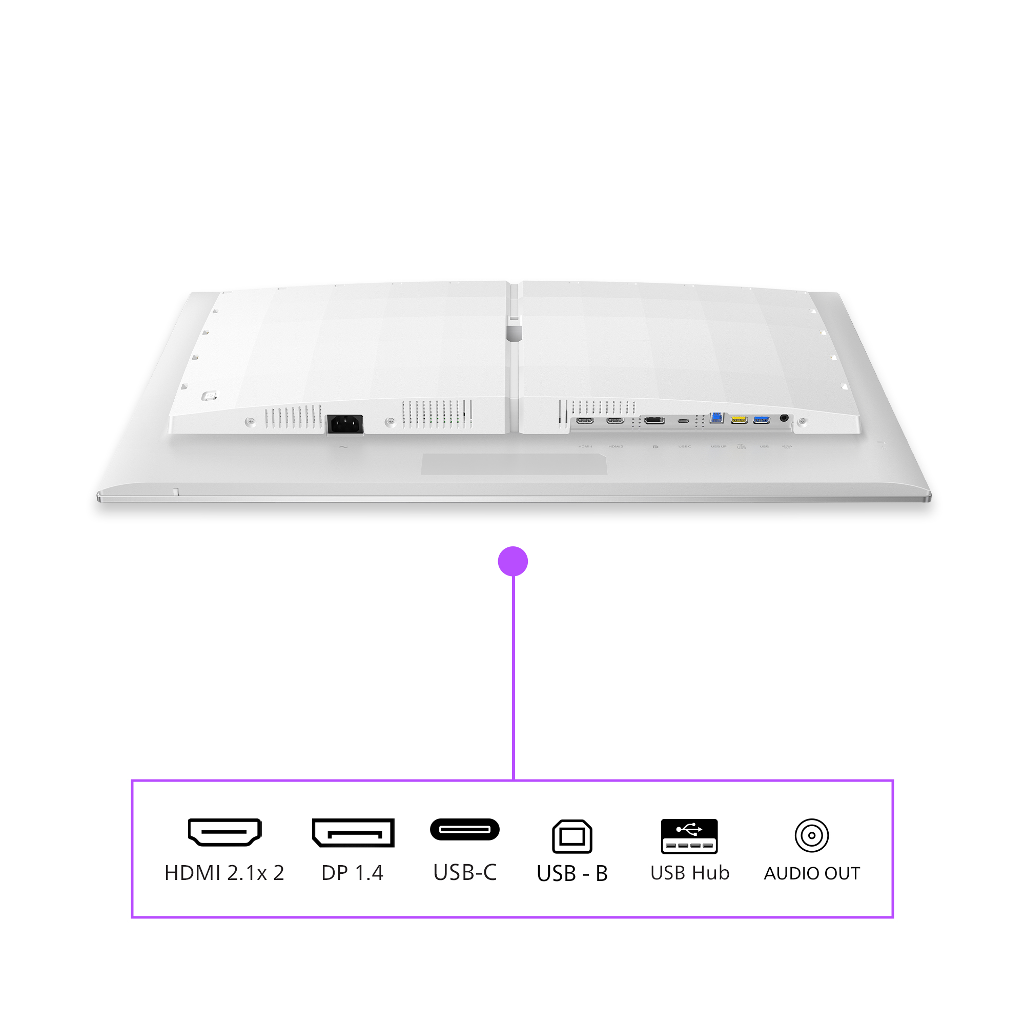 Vista posteriore di un monitor bianco con varie porte e legenda in basso.