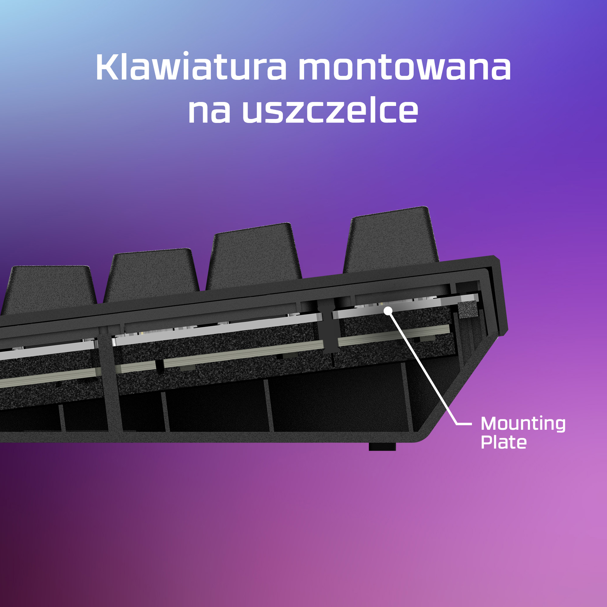 Sección transversal de un teclado mecánico con junta y placa de montaje sobre fondo morado.
