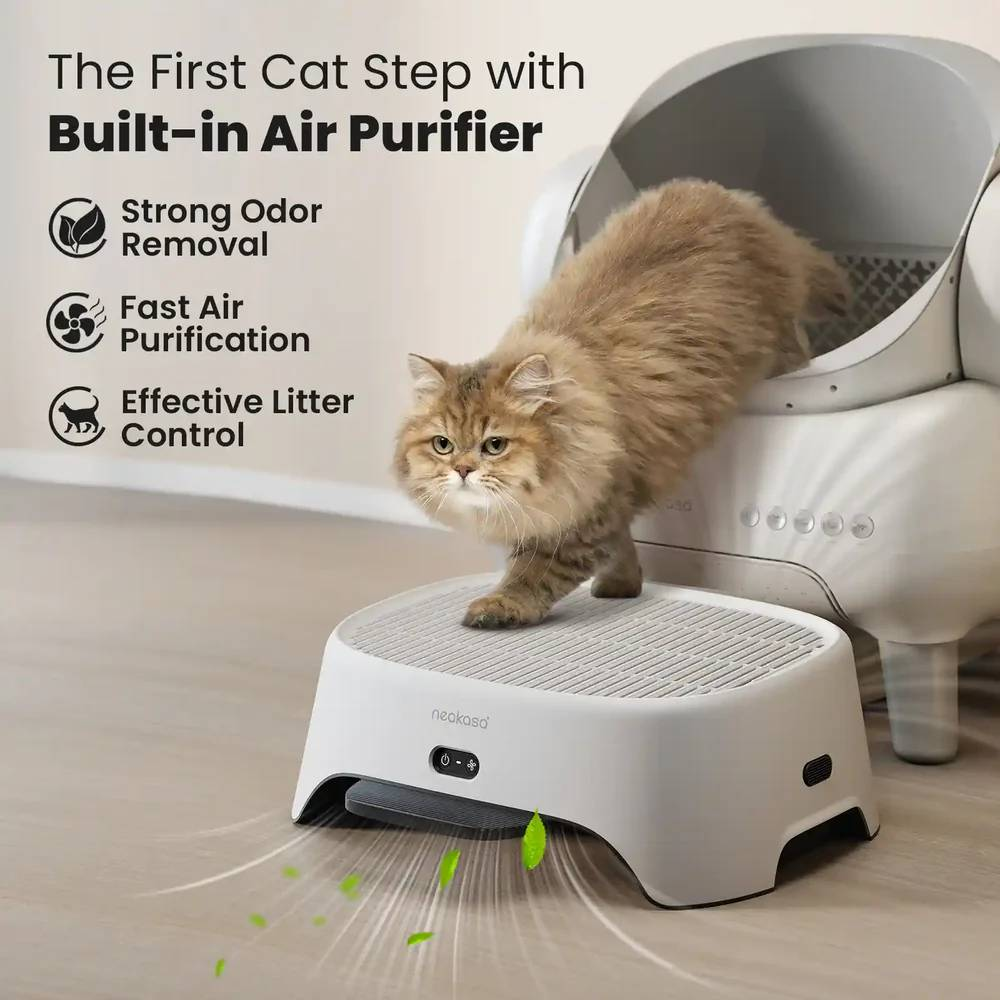 Eine flauschige Katze geht auf eine weiße Stufe vor einer Katzentoilette, die Gerüche neutralisiert.