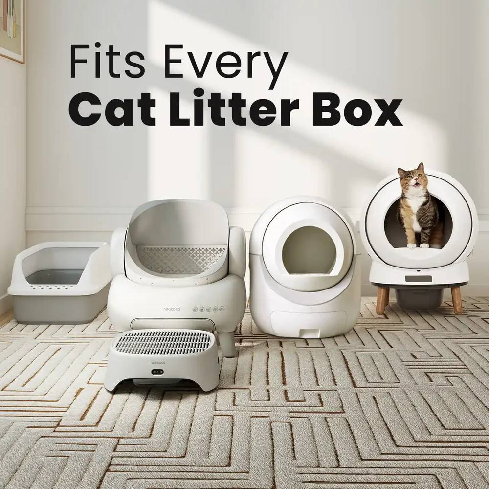 Verschiedene automatische Katzentoiletten stehen auf einem Teppich, ein kleiner Kater sitzt in einer davon.