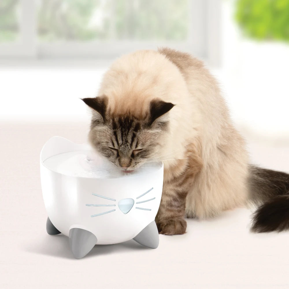 Eine flauschige Katze trinkt Wasser aus einem weißen Napf mit Katzenohren und grauen Füßen vor hellem Hintergrund.