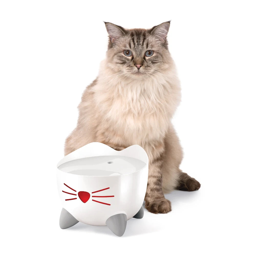 Fluschige Katze sitzt hinter einem weißen, katzengestalteten Wassernapf mit roten Schnurrhaaren und grauen Füßen.
