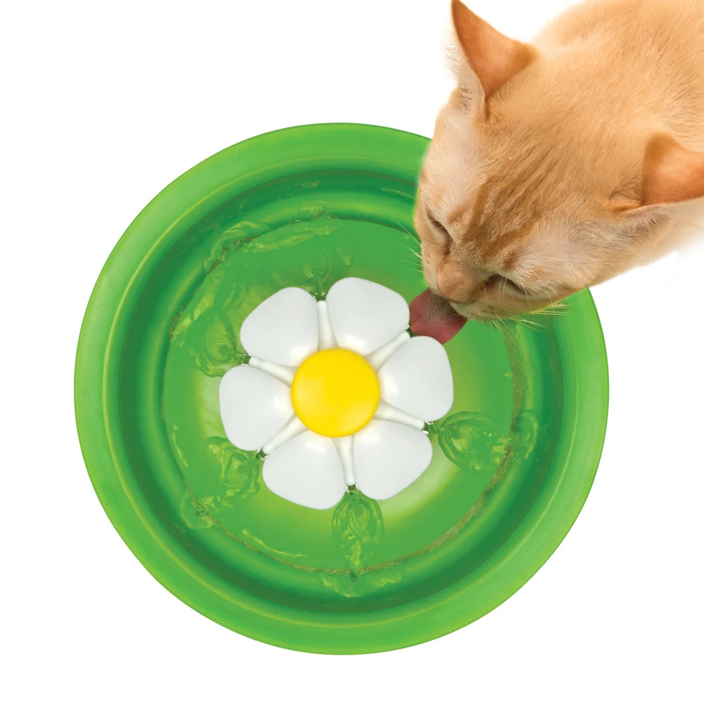 Un gato naranja bebe agua de una fuente verde con una flor blanca en el centro.