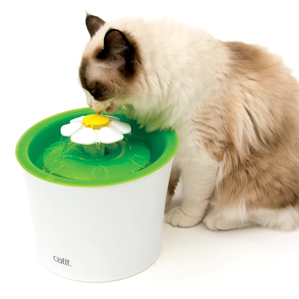 Un gato peludo bebe de una fuente de agua para gatos con forma de flor verde y blanca sobre fondo blanco.