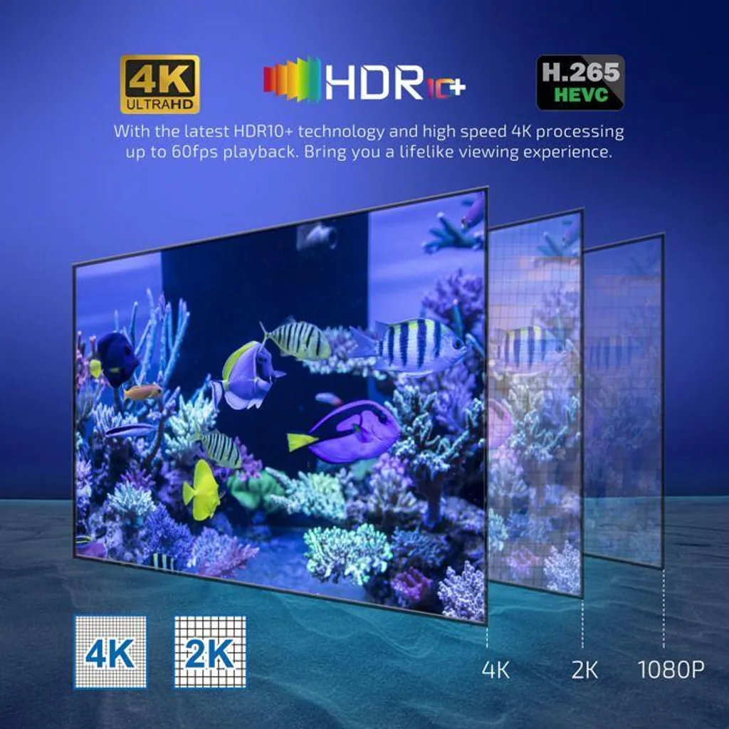 Vergleich von 4K-, 2K- und 1080P-Bildschirmauflösungen mit einer Unterwasser-Korallenriffszene.