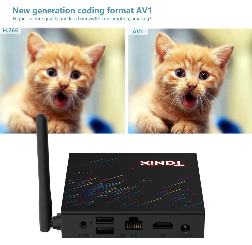 Vergleich der Katzenbildqualität zwischen H.265- und AV1-Formaten, unten eine schwarze TV-Box mit einer Antenne.