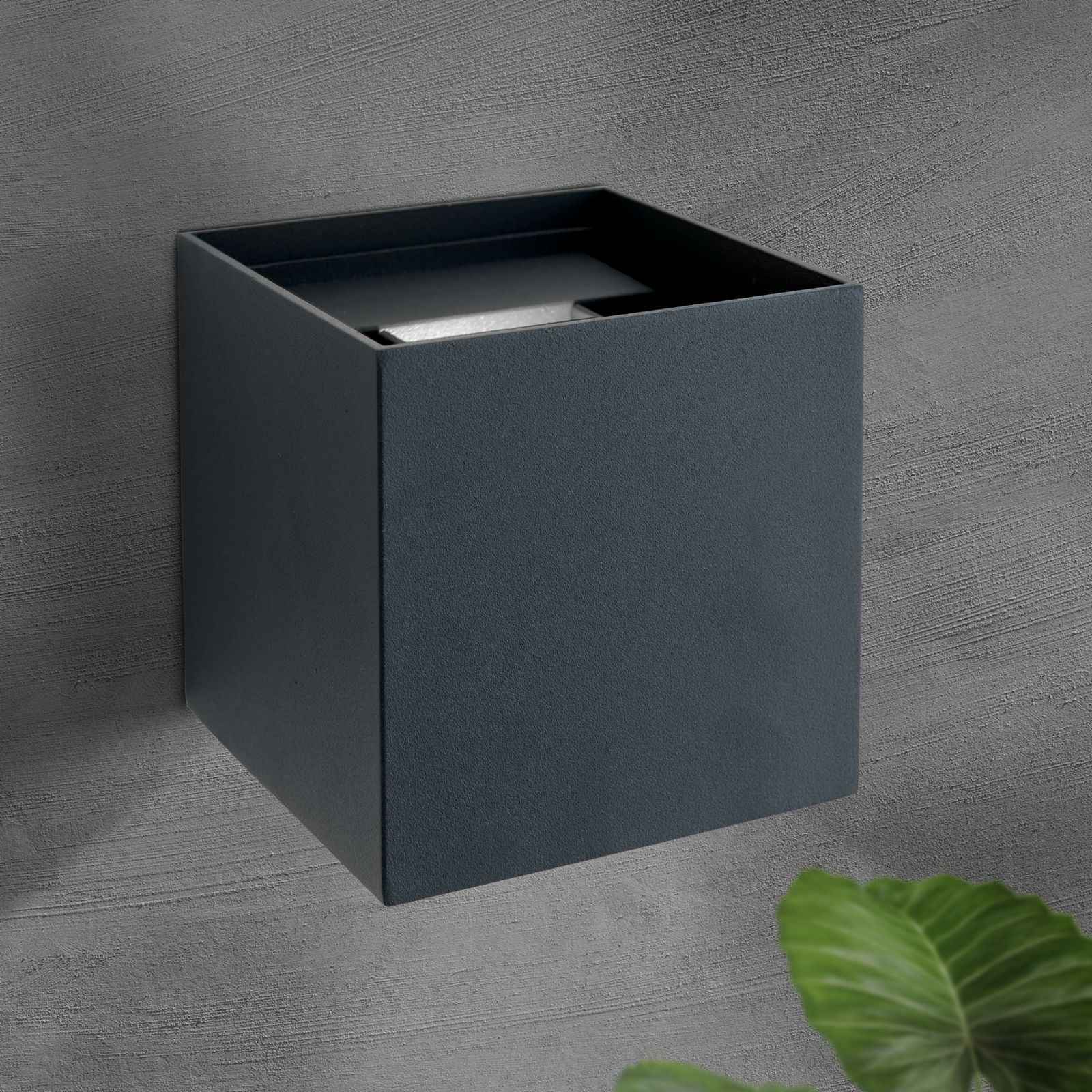 Eine schwarze, kubische Wandleuchte an einer grauen, strukturierten Wand mit einer grünen Pflanze im Vordergrund unten.