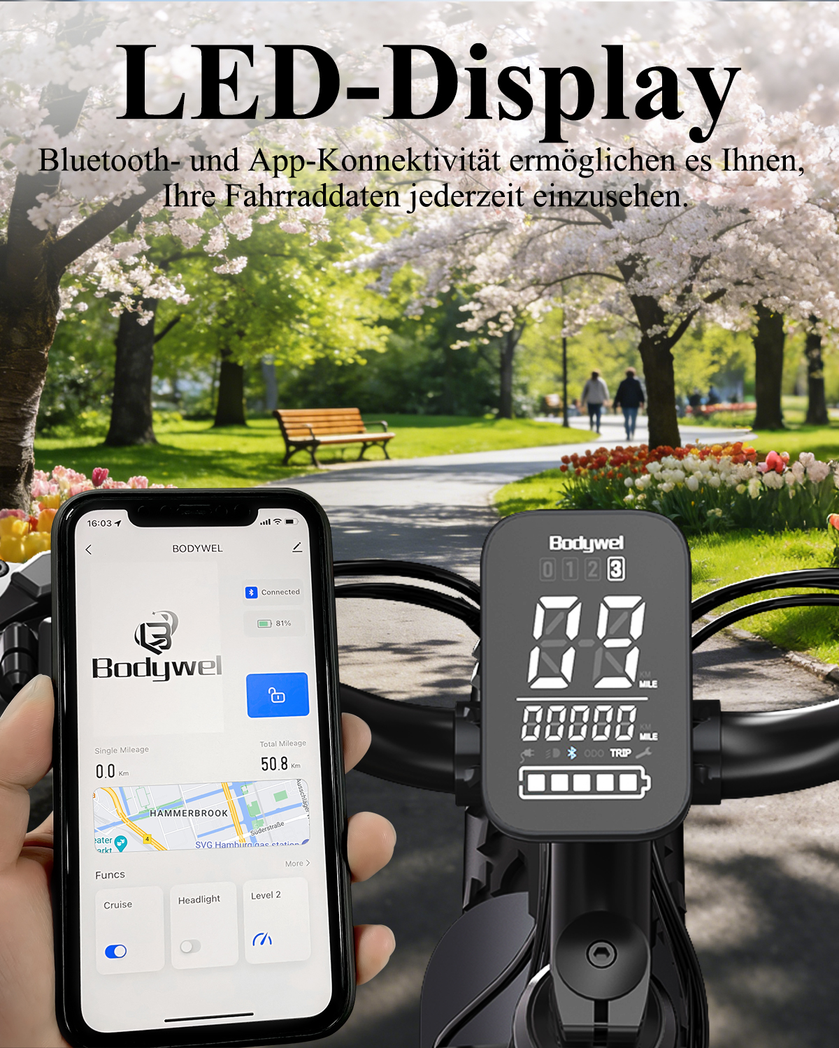 Smartphone und E-Bike-Display zeigen Bluetooth-Konnektivität vor einer Frühlingspark-Kulisse.