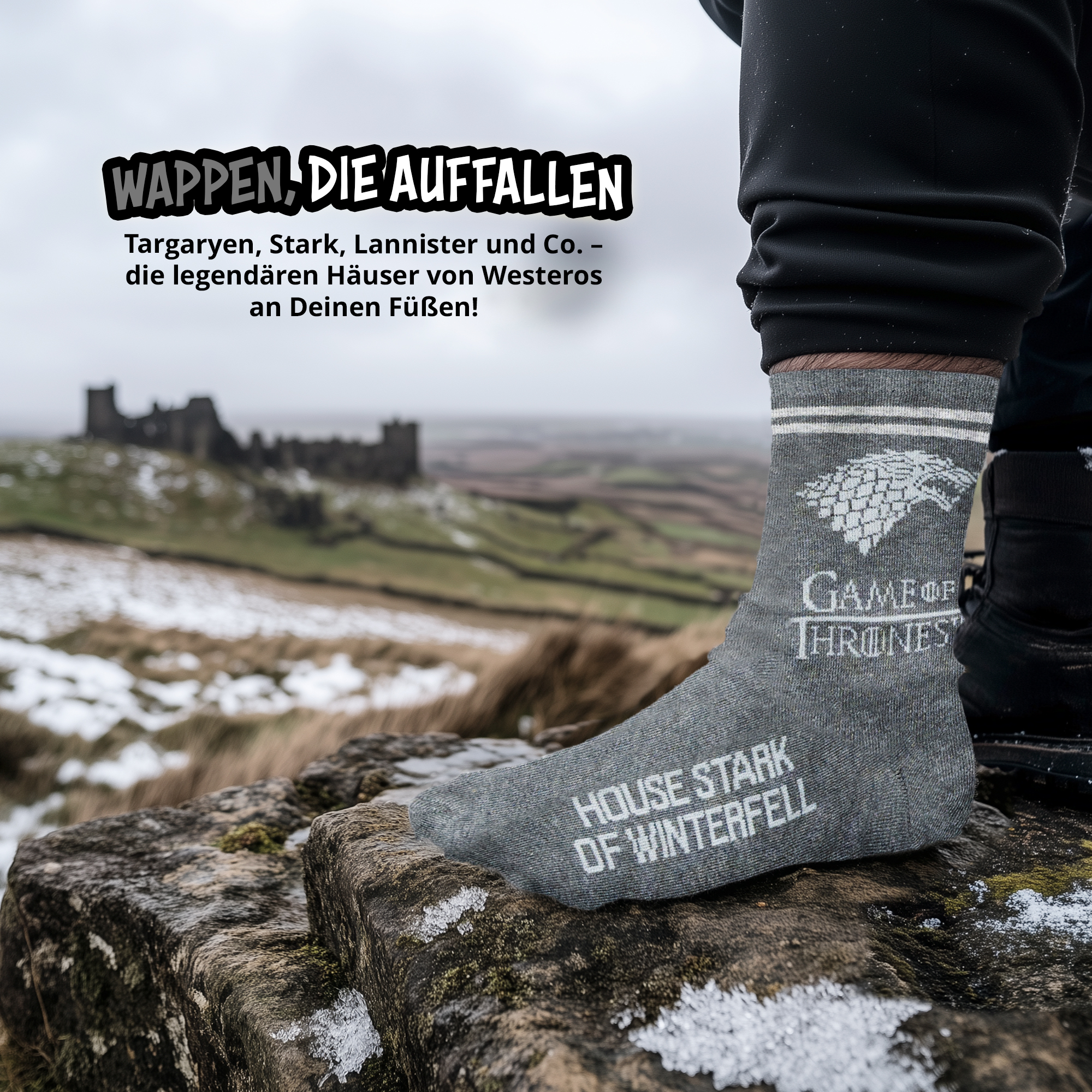 Ein Fuß in einem grauen Game of Thrones Socken auf einem schneebedeckten Stein mit einer Burg im Hintergrund.