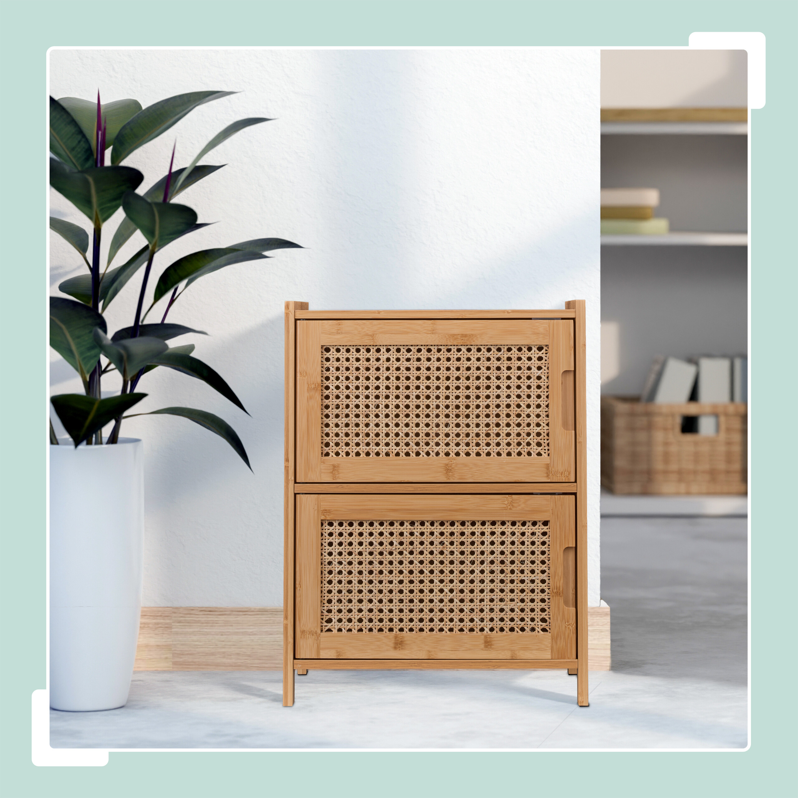 Holzschrank mit Rattangewebe steht im Raum neben einer großen Pflanze und einem Regal.