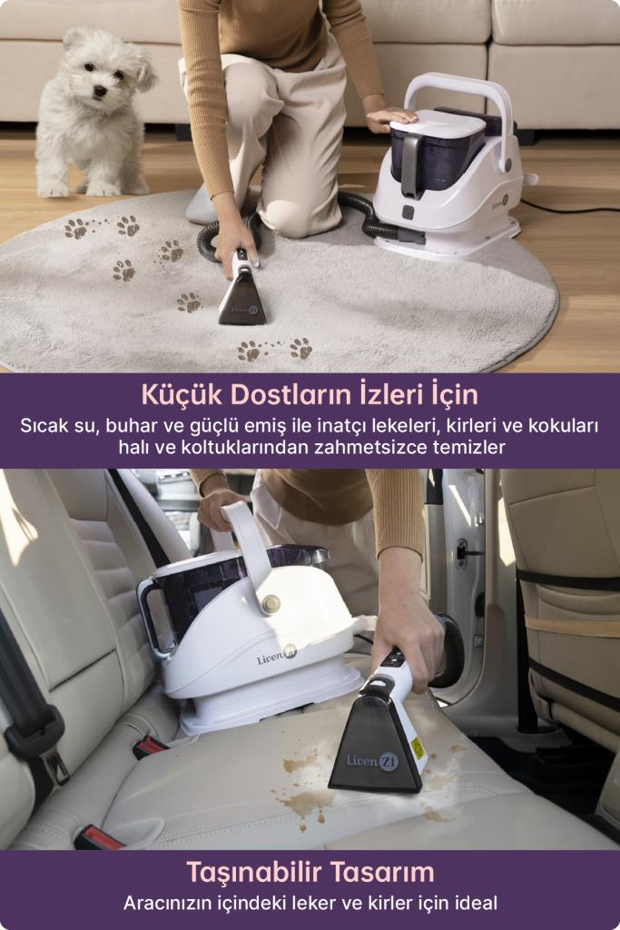 Taşınabilir temizleyici, halı ve araba koltuklarındaki lekeleri temizliyor, arkada küçük bir köpek var.