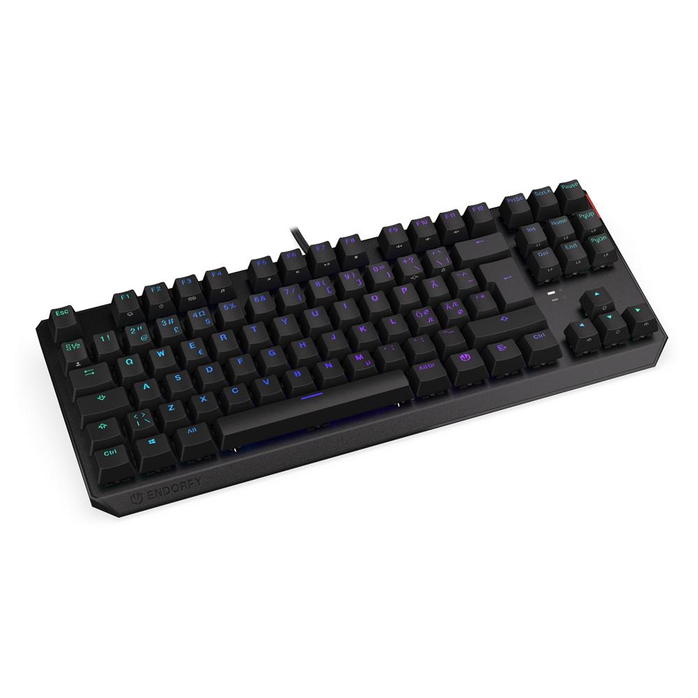 Eine schwarze mechanische Gaming-Tastatur von Endorfy mit farbig beleuchteten Tasten auf weißem Grund.