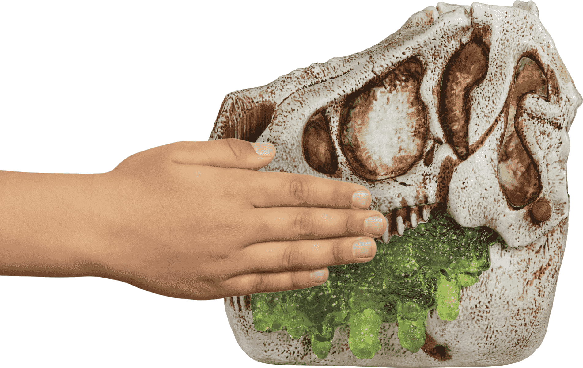Una mano toca un cráneo de T-Rex con baba verde.