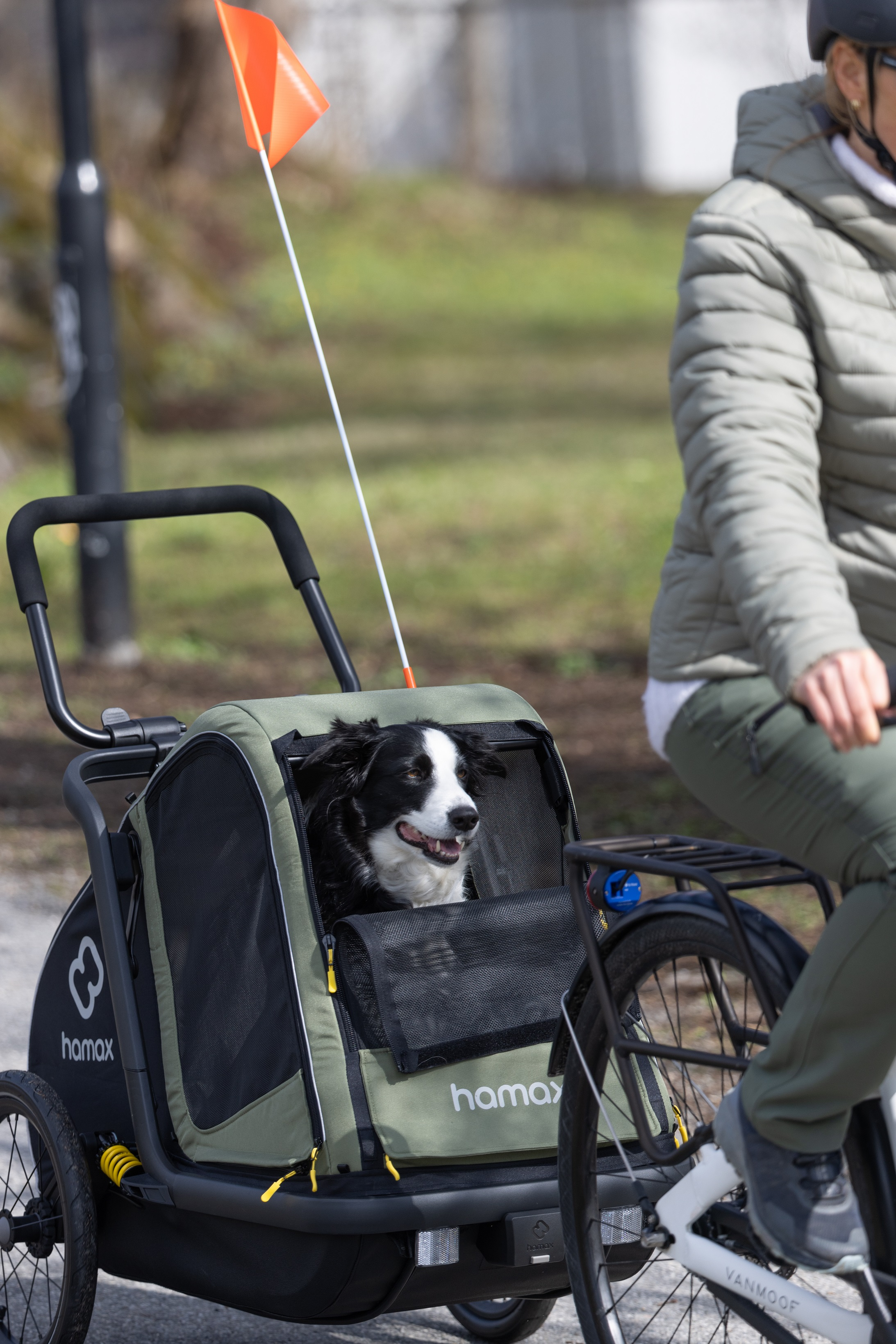 Ein schwarz-weißer Hund sitzt im grünen Fahrradanhänger, während eine Frau mit dem Fahrrad fährt.