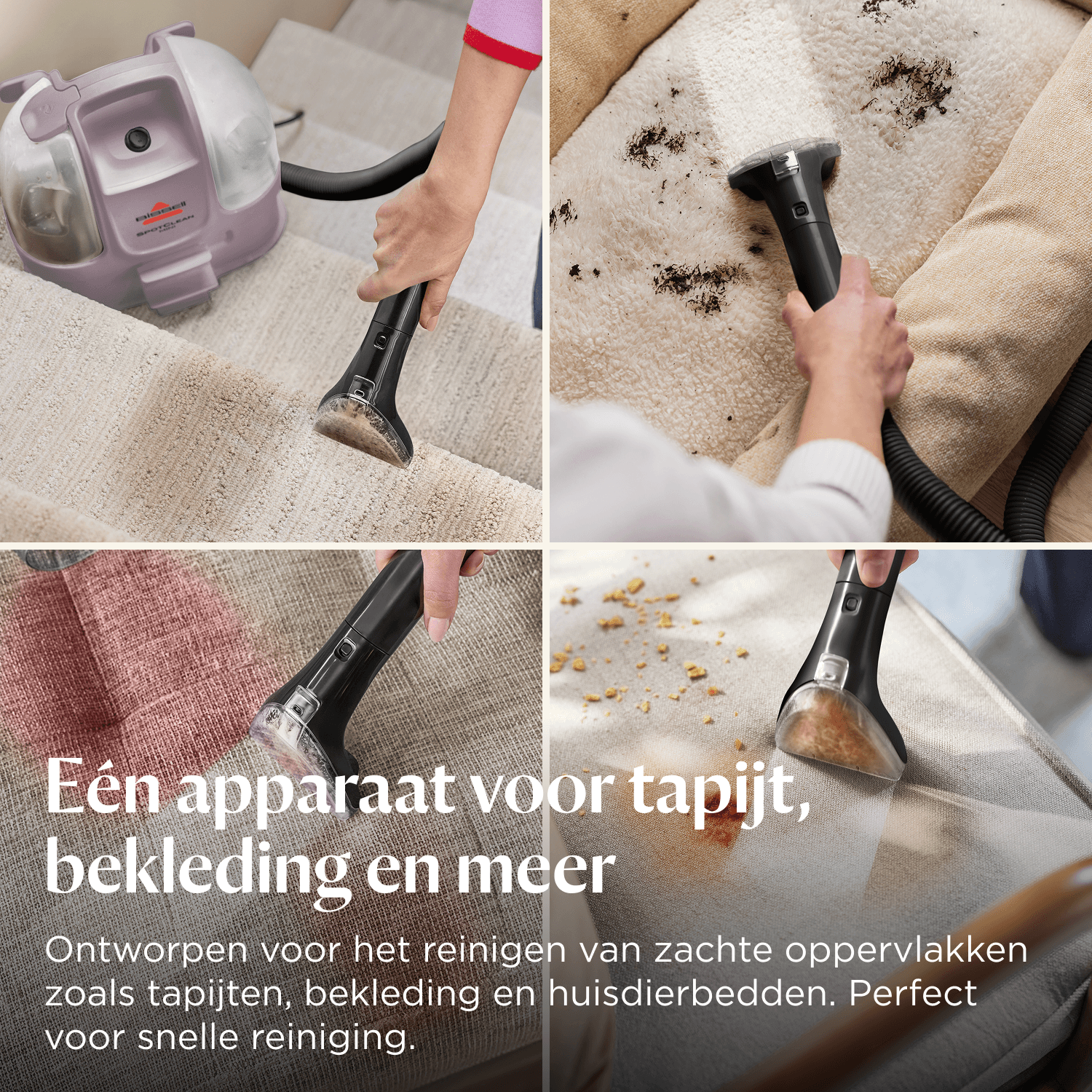 Ein tragbarer Teppichreiniger reinigt Treppen, Polster und Tierbetten.