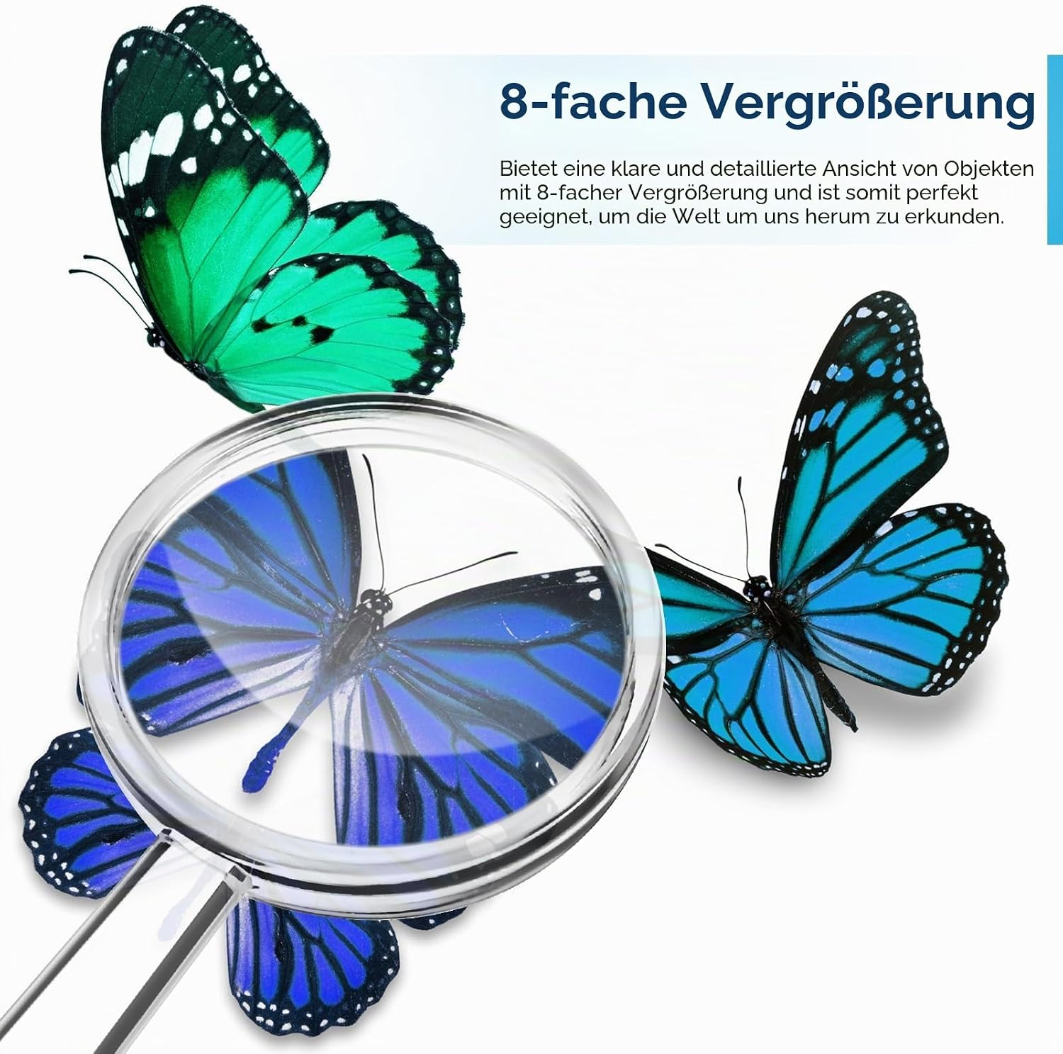 Eine Lupe zeigt einen blauen Schmetterling, mit grünen und blauen Schmetterlingen und deutschem Text auf weißem Grund.