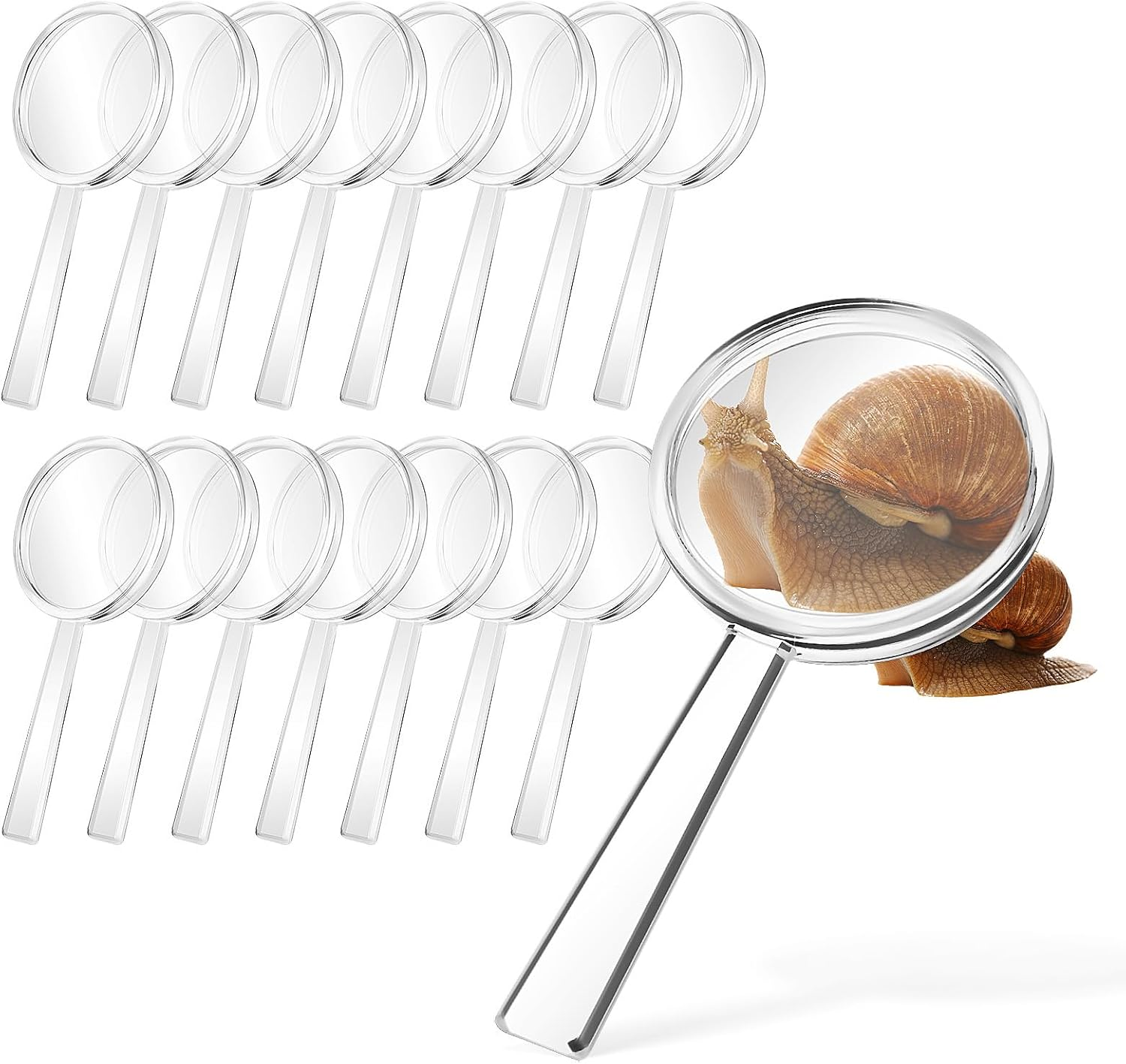 Viele transparente Lupen auf weißem Hintergrund, eine vergrößert eine Schnecke.