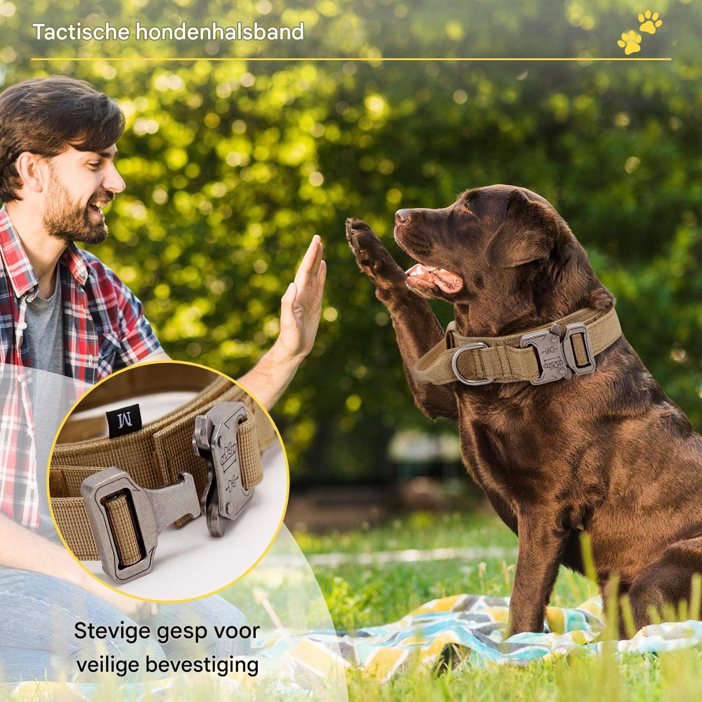 Ein Mann im Karomand gibt einem braunen Labrador mit taktischem Halsband in einem Park ein High-Five.