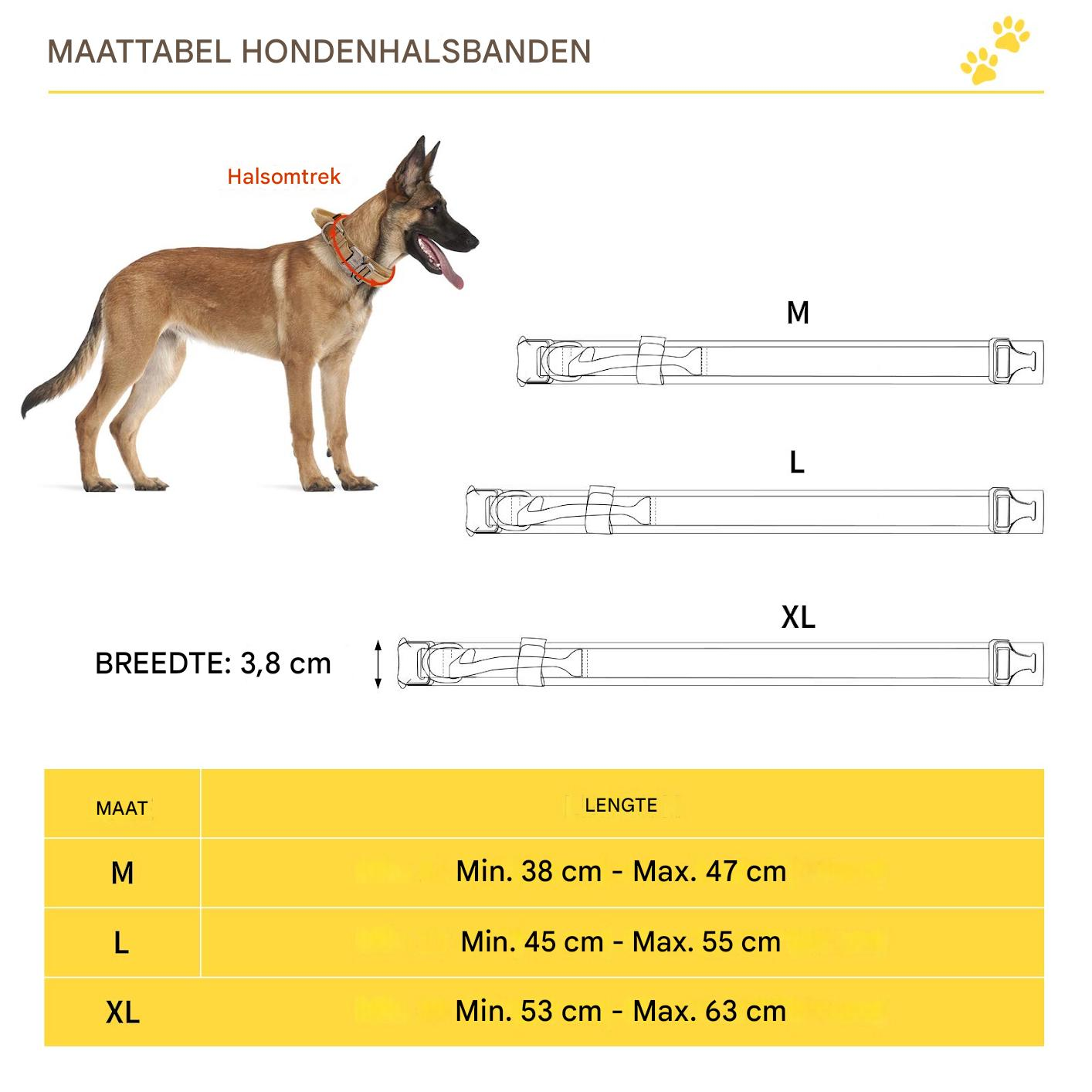 Größentabelle für Hundehalsbänder mit einem Hund, Maßen und Größentabelle für M, L und XL.