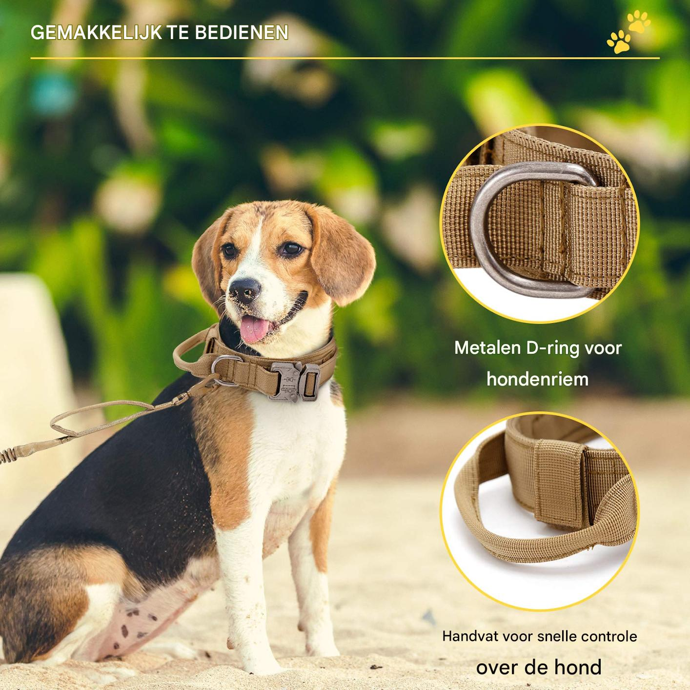 Ein Beagle mit taktischem Halsband mit Metall-D-Ring und Griff an einem Sandstrand.