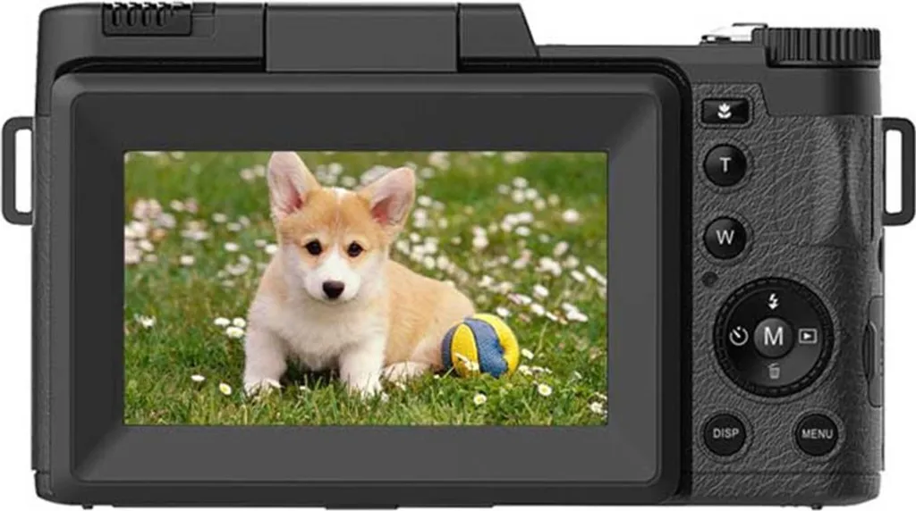 Eine schwarze Digitalkamera zeigt auf dem Bildschirm einen Corgi-Welpen im Gras mit einem Ball.