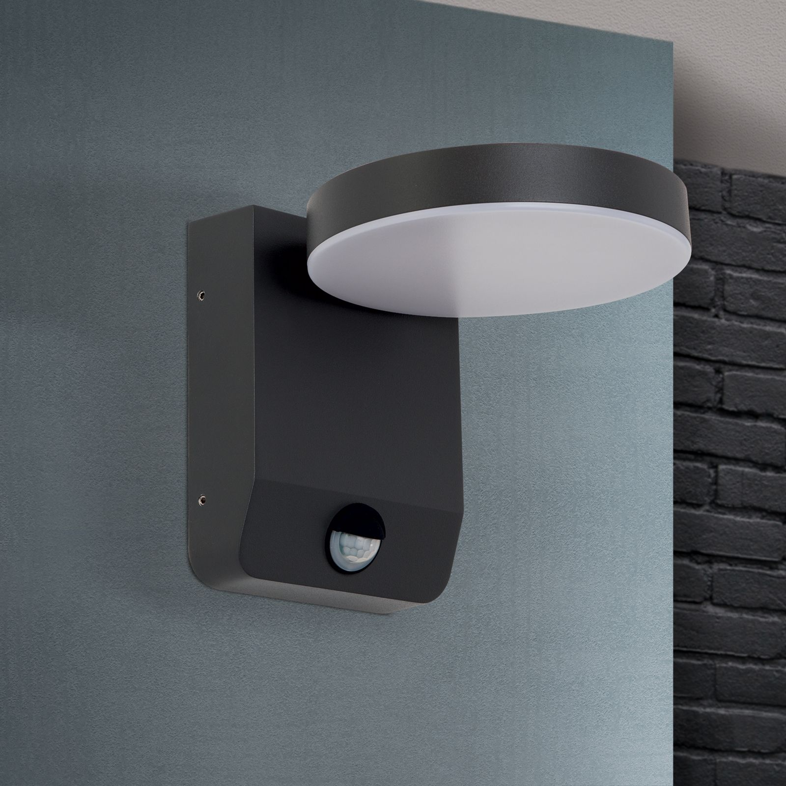 Eine dunkelgraue, moderne Wandleuchte mit rundem, weißem Diffusor und Bewegungsmelder an grauer Wand.