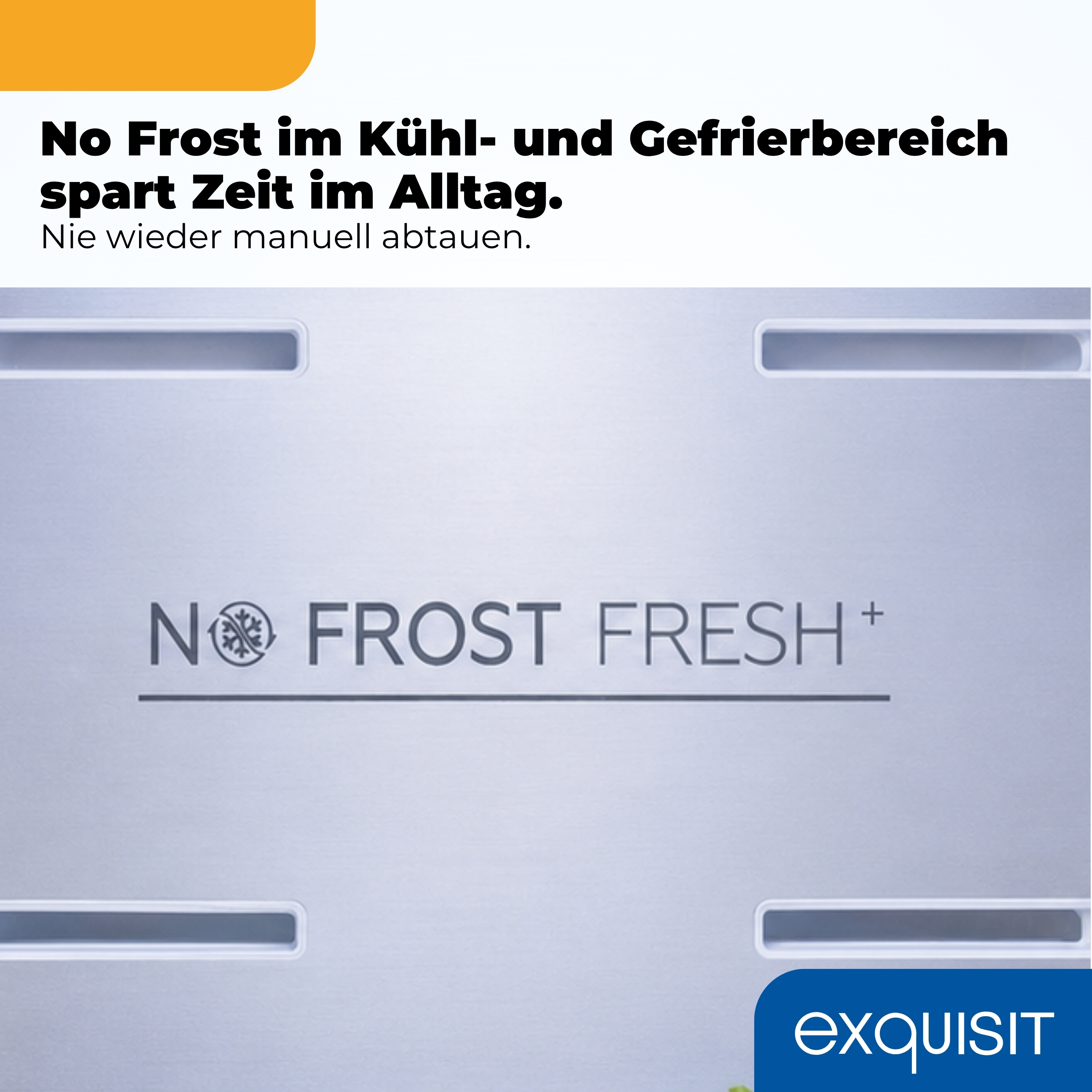Edelstahloberfläche mit 'NO FROST FRESH+' Logo und Text über No Frost.
