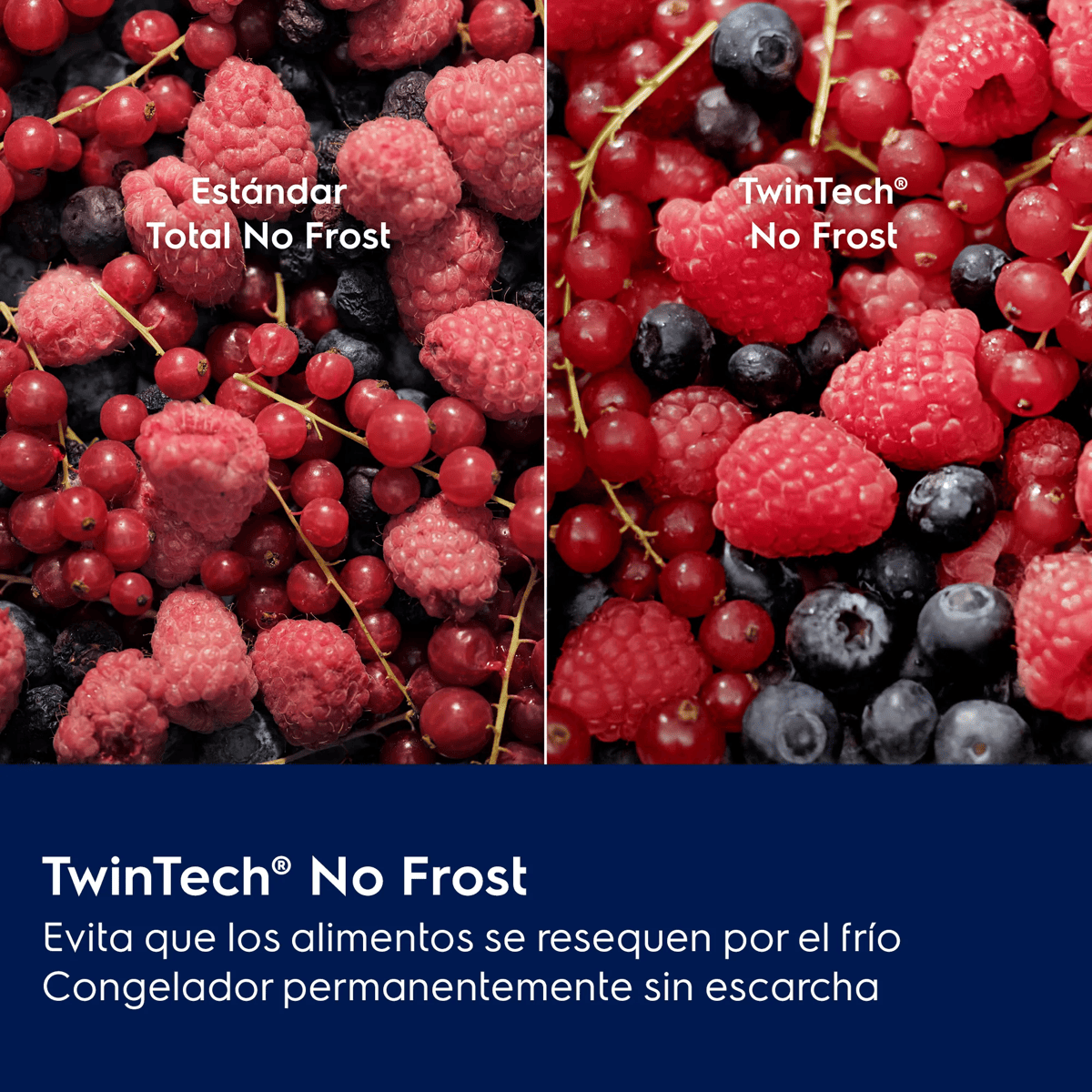 Comparación de bayas frescas con y sin escarcha, promocionando TwinTech No Frost.