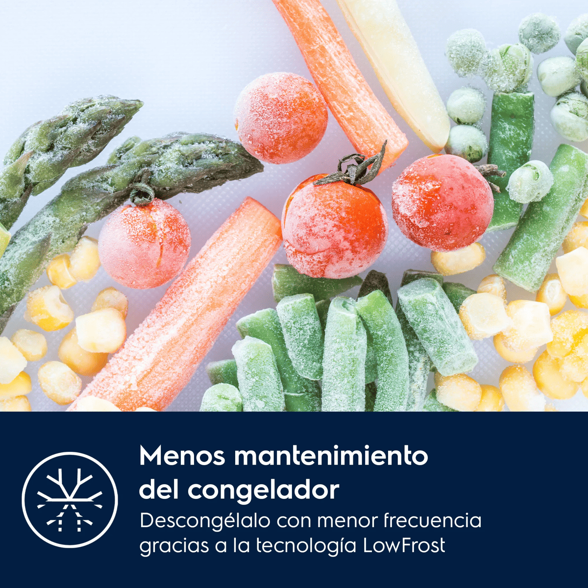 Verduras congeladas que incluyen tomates, zanahorias, espárragos, maíz y guisantes se disponen en una superficie blanca.